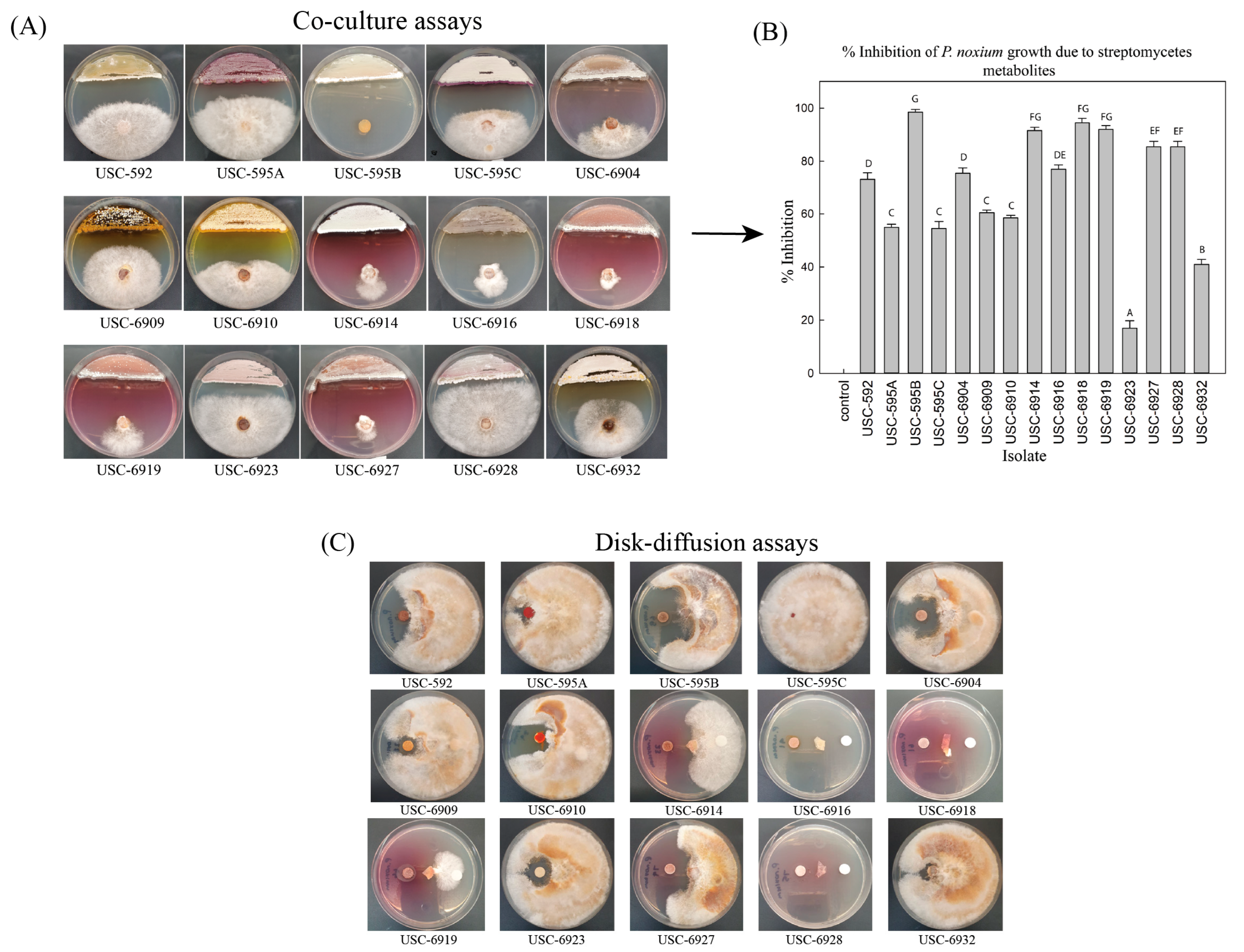 Antibiotics 12 01373 g001 Antibiotics 12 01373 g001