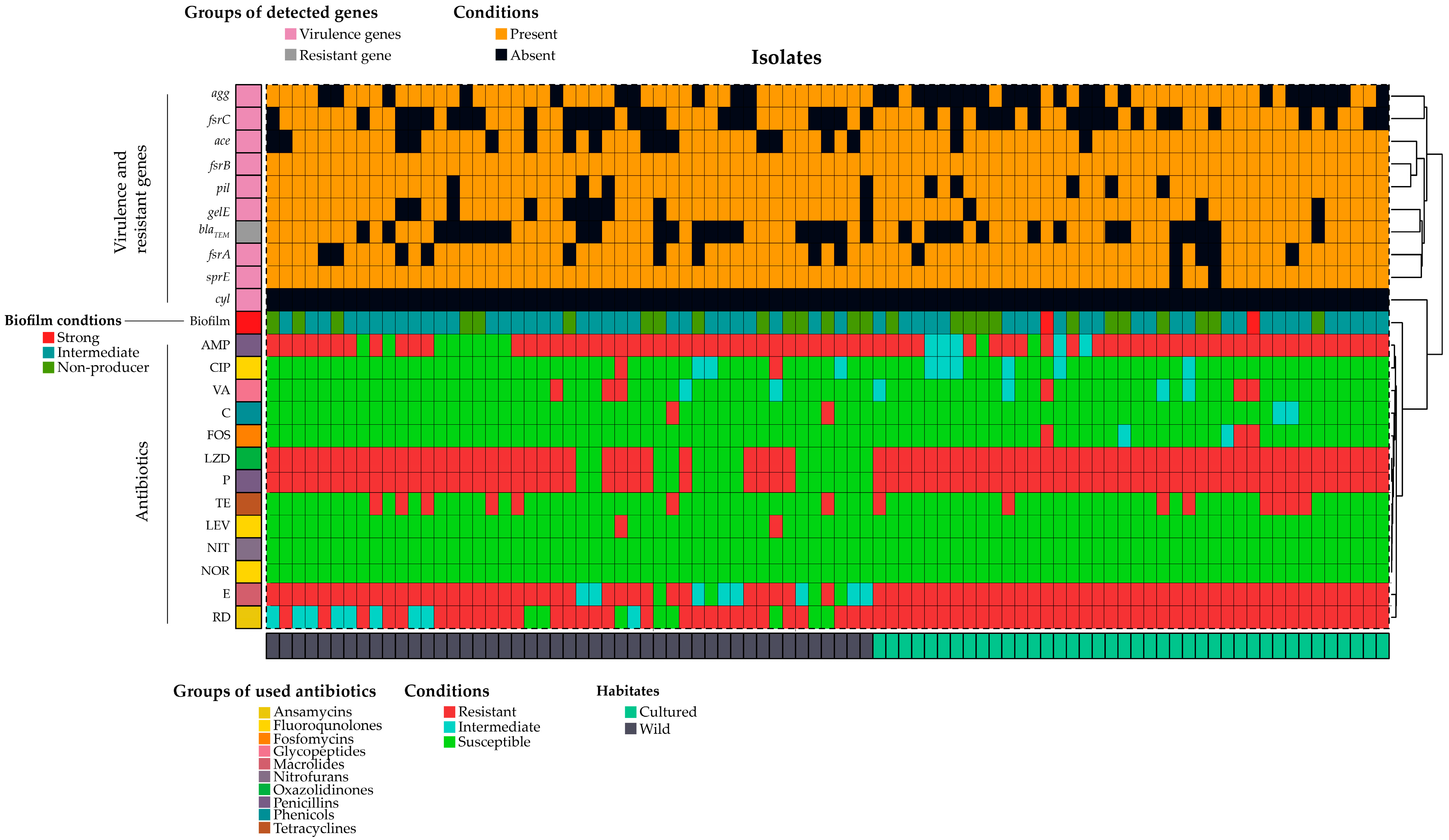 Antibiotics 12 01375 g001 Antibiotics 12 01375 g001