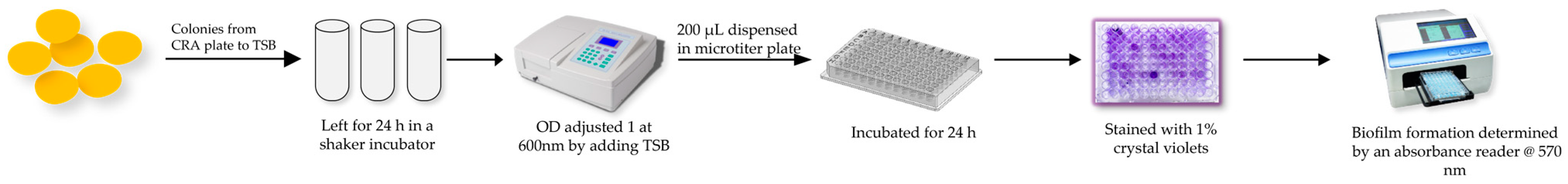 Antibiotics 12 01375 g005 Antibiotics 12 01375 g005