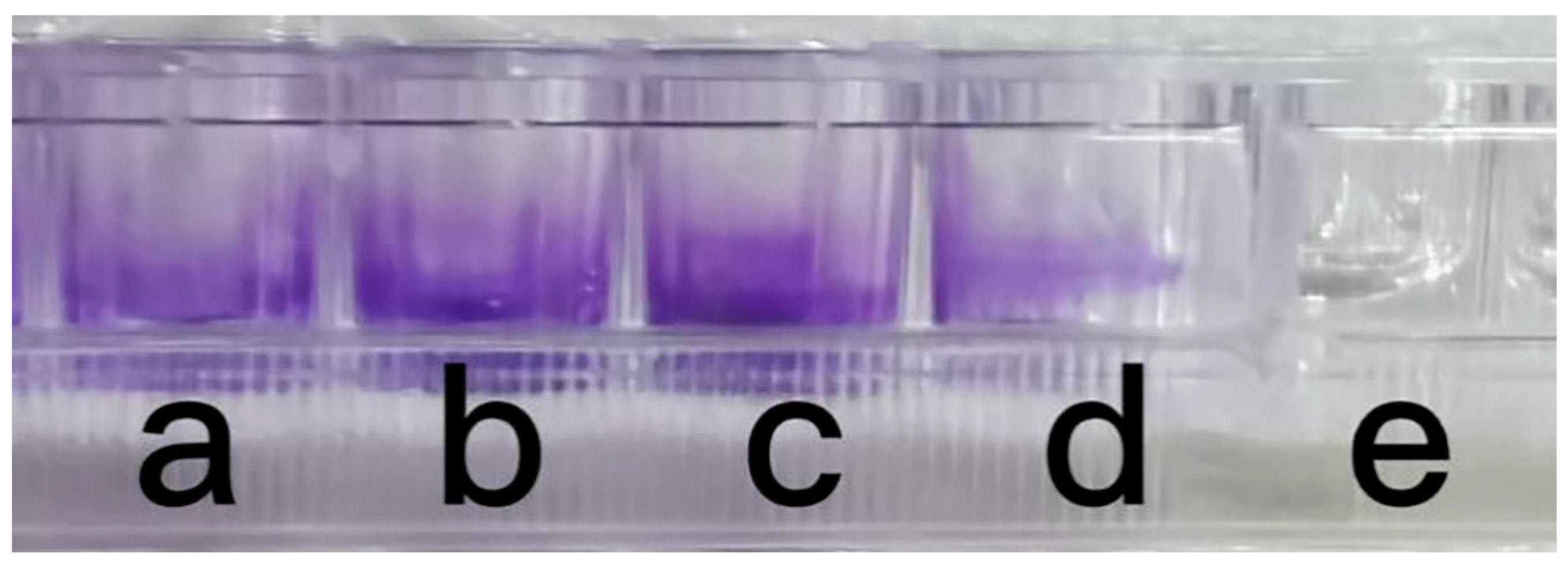 Antibiotics 12 01379 g003