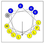 Antibiotics 12 01396 i008 Antibiotics 12 01396 i008