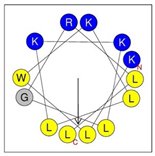 Antibiotics 12 01396 i010 Antibiotics 12 01396 i010