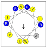 Antibiotics 12 01396 i012 Antibiotics 12 01396 i012