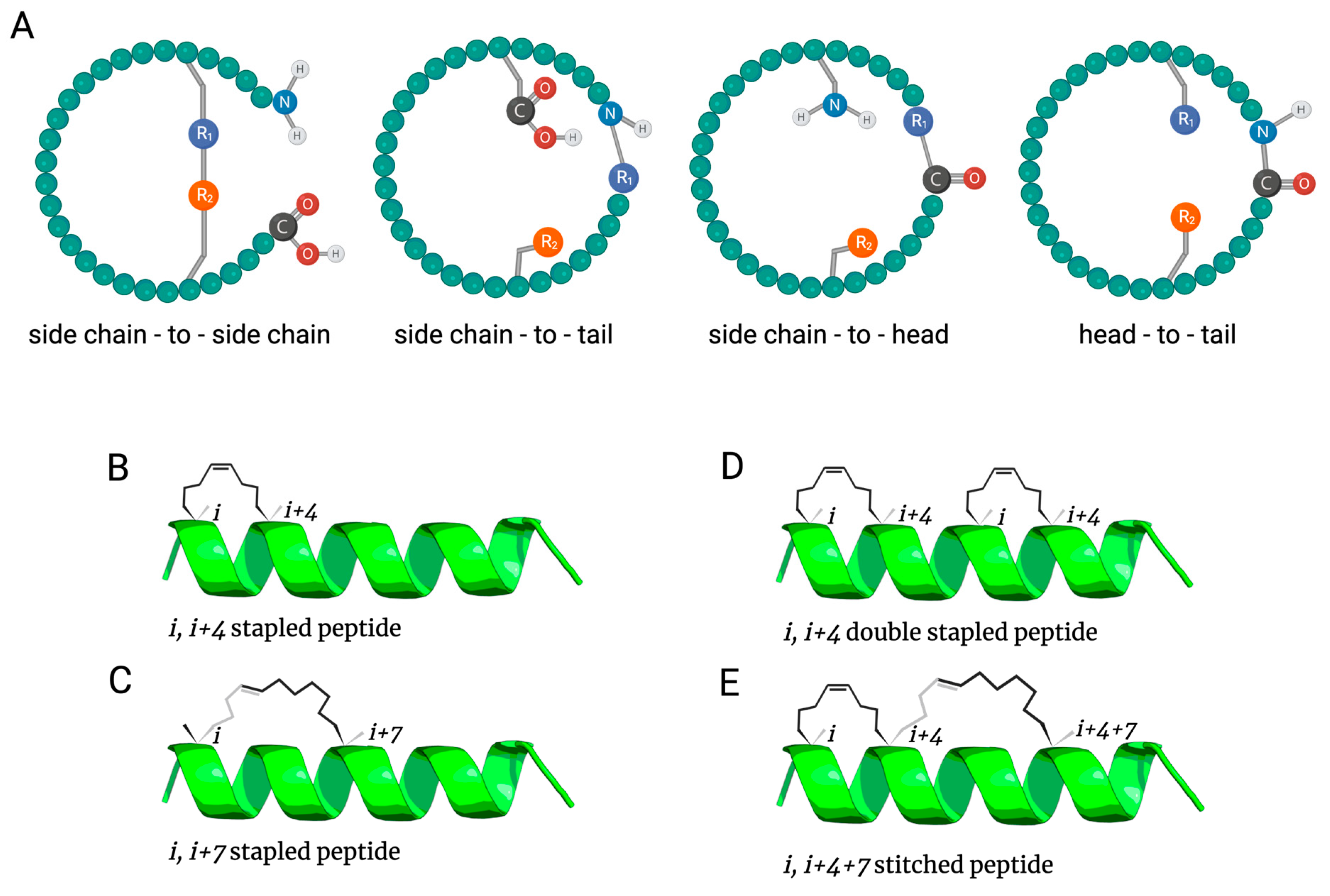 Antibiotics 12 01400 g001