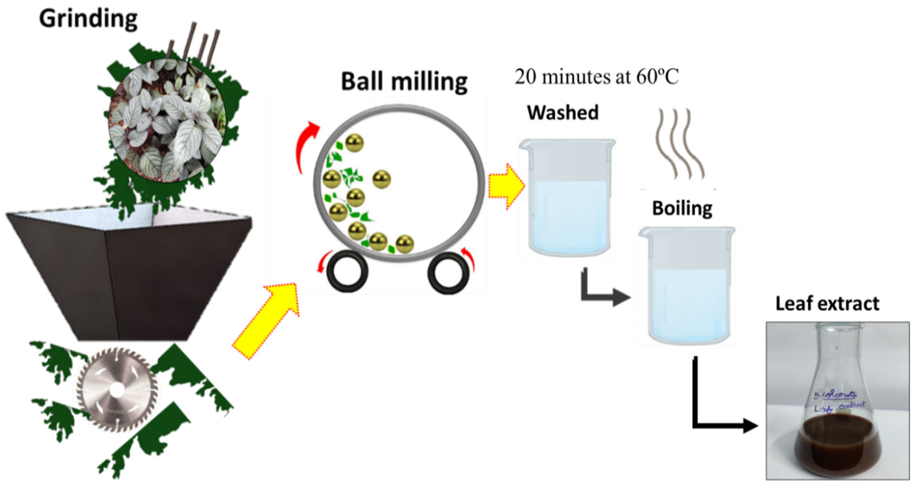 Antibiotics 12 01403 g001