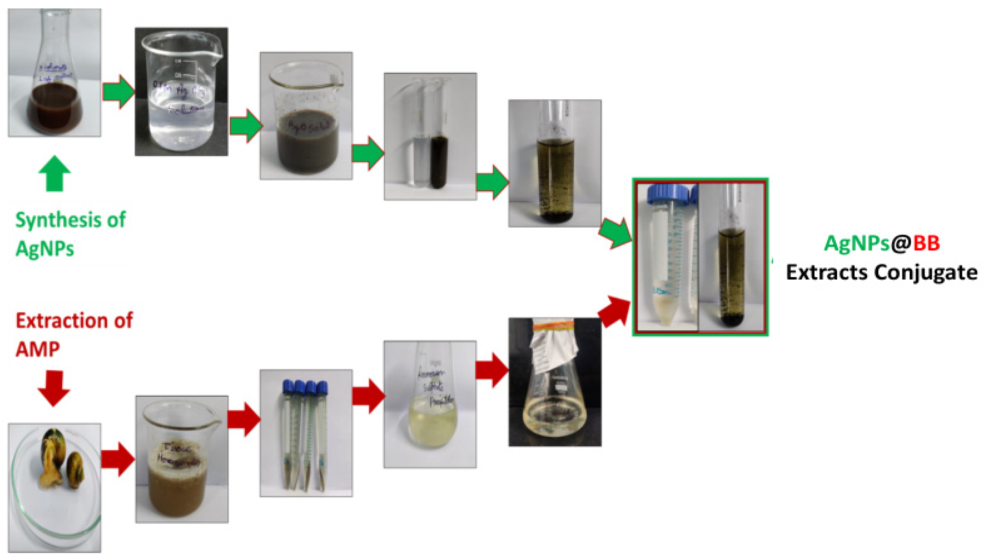 Antibiotics 12 01403 g002