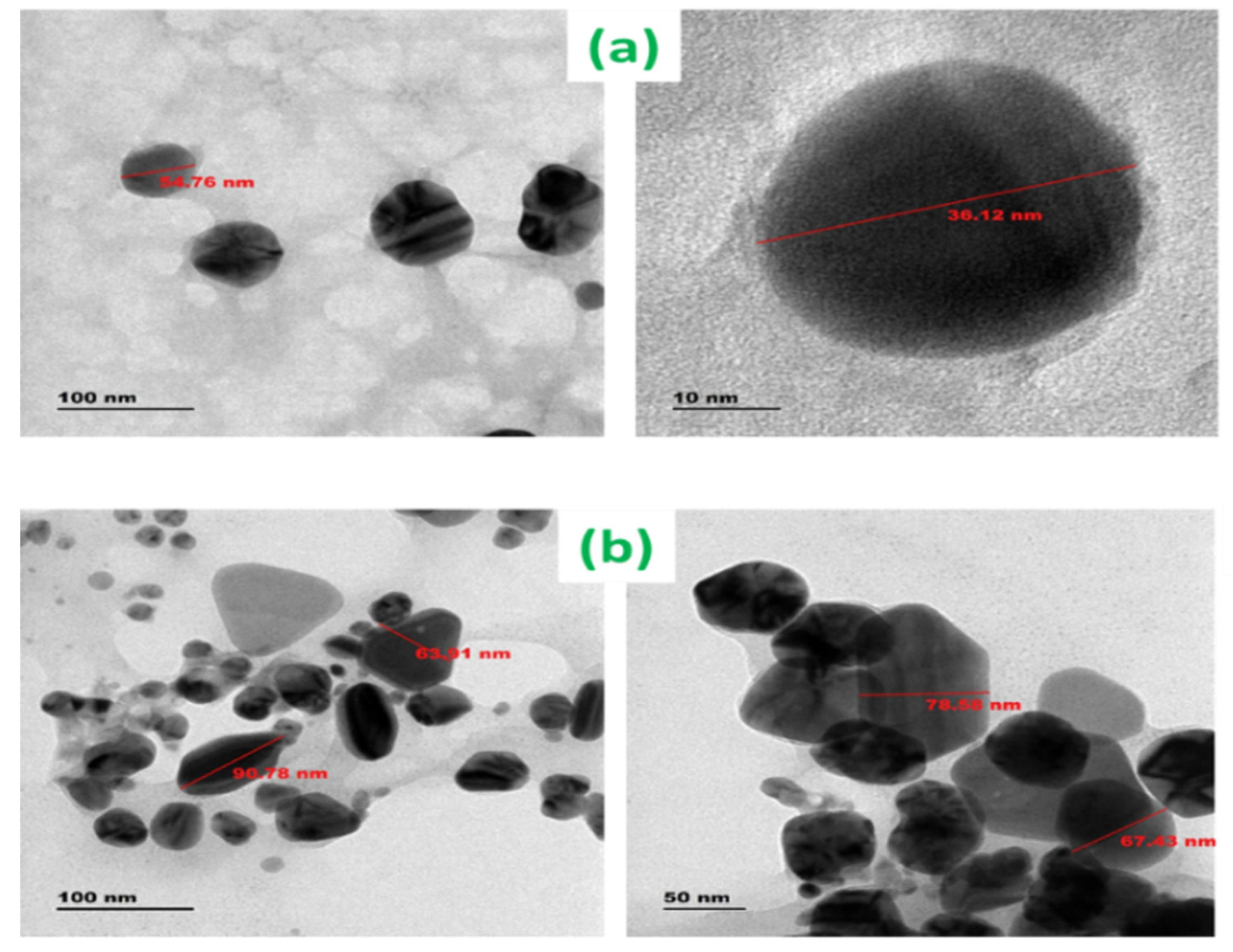 Antibiotics 12 01403 g005