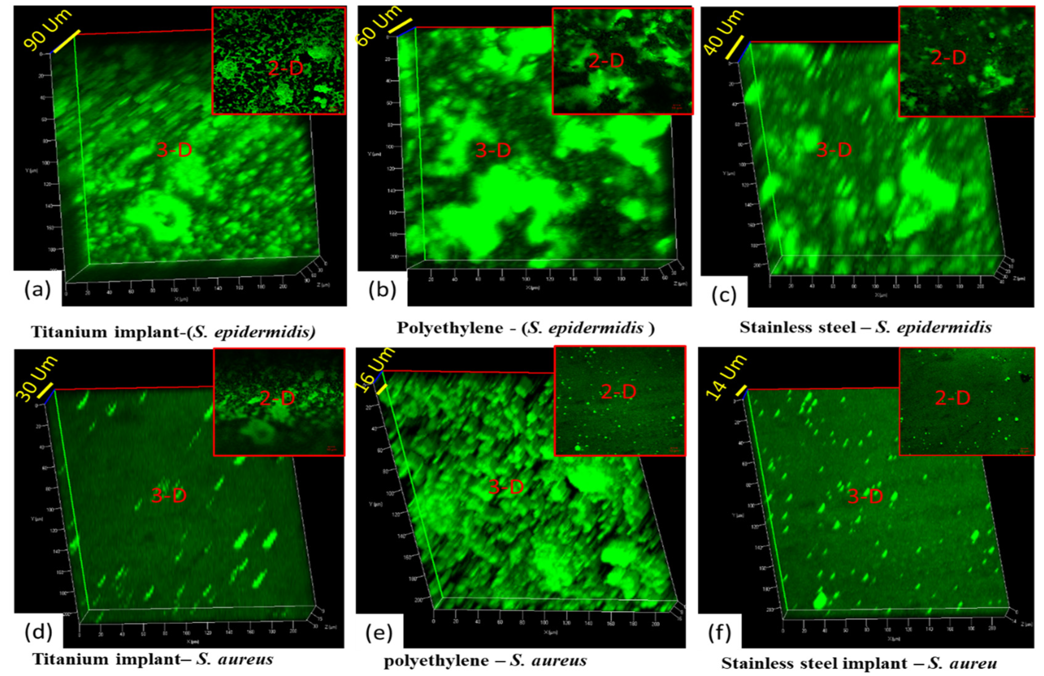 Antibiotics 12 01403 g008