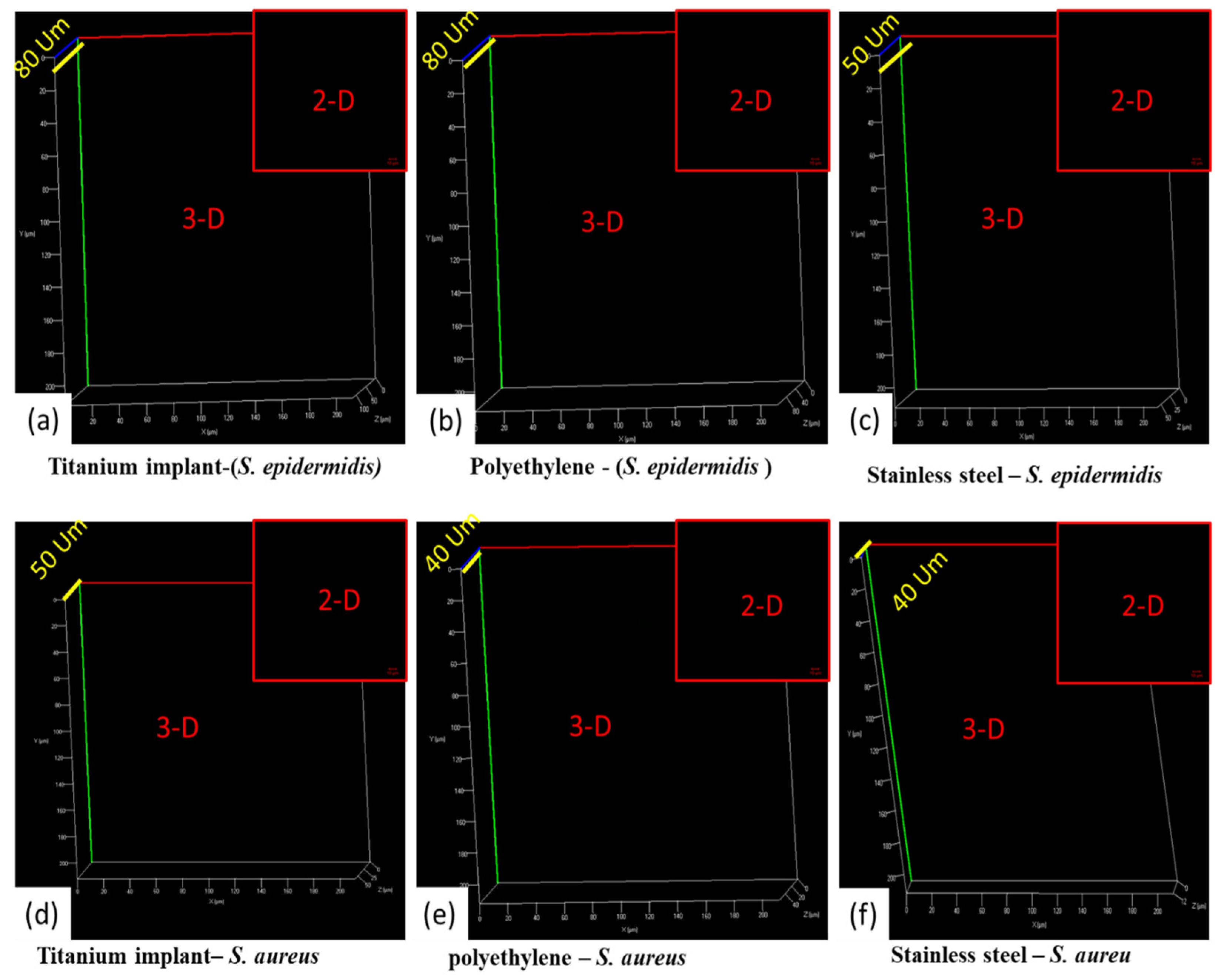 Antibiotics 12 01403 g010