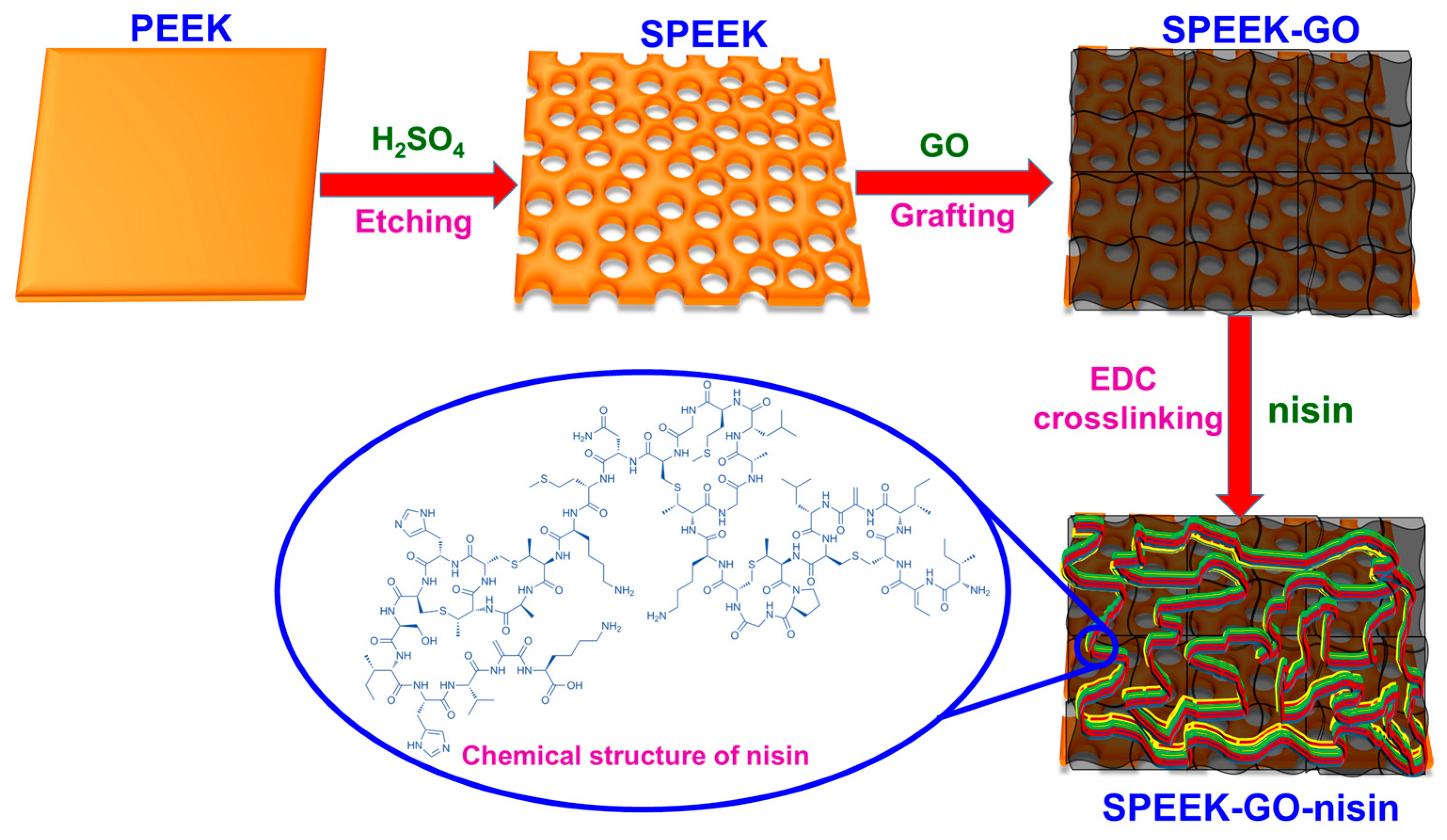Antibiotics 12 01407 g008