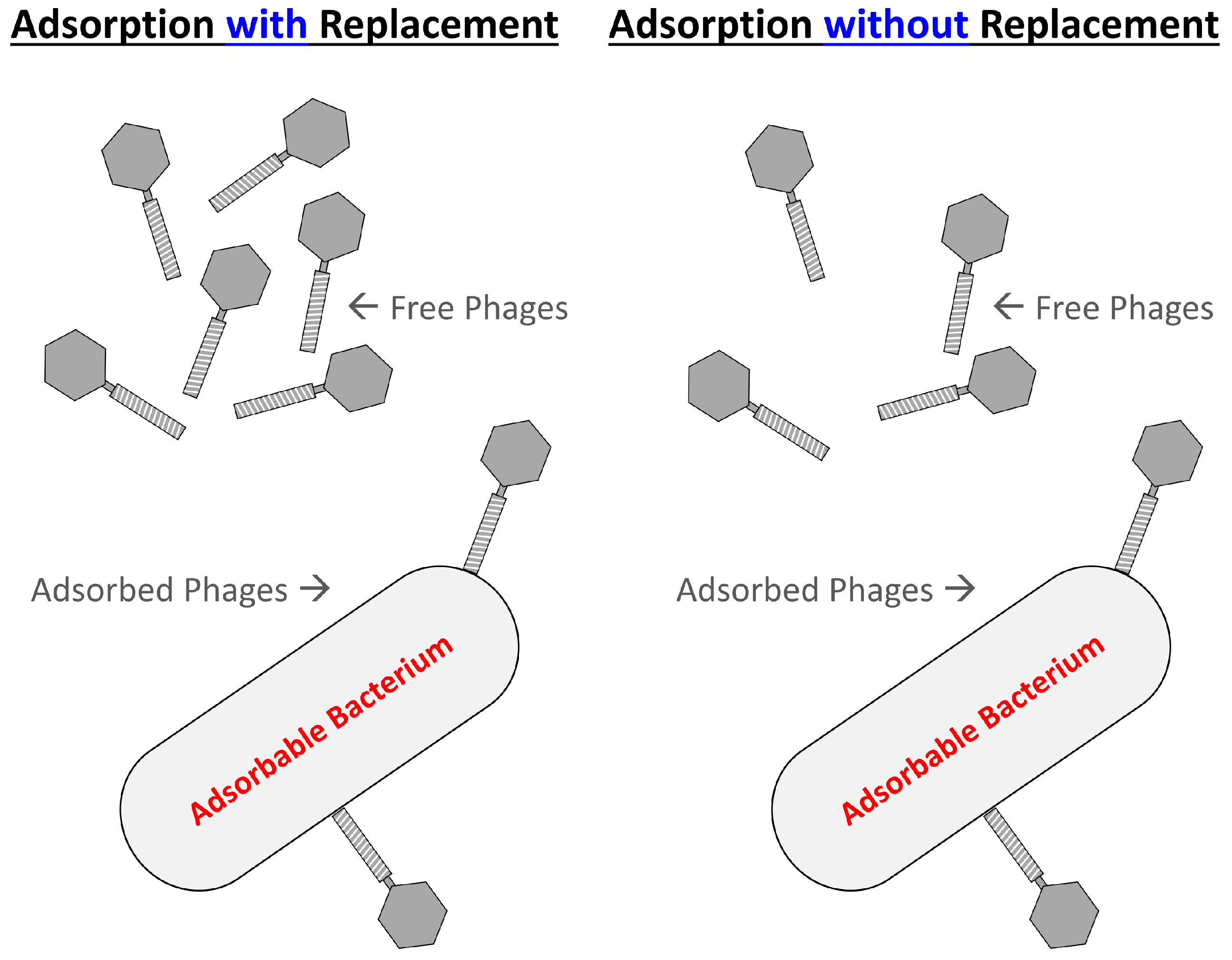 Antibiotics 12 01423 g002