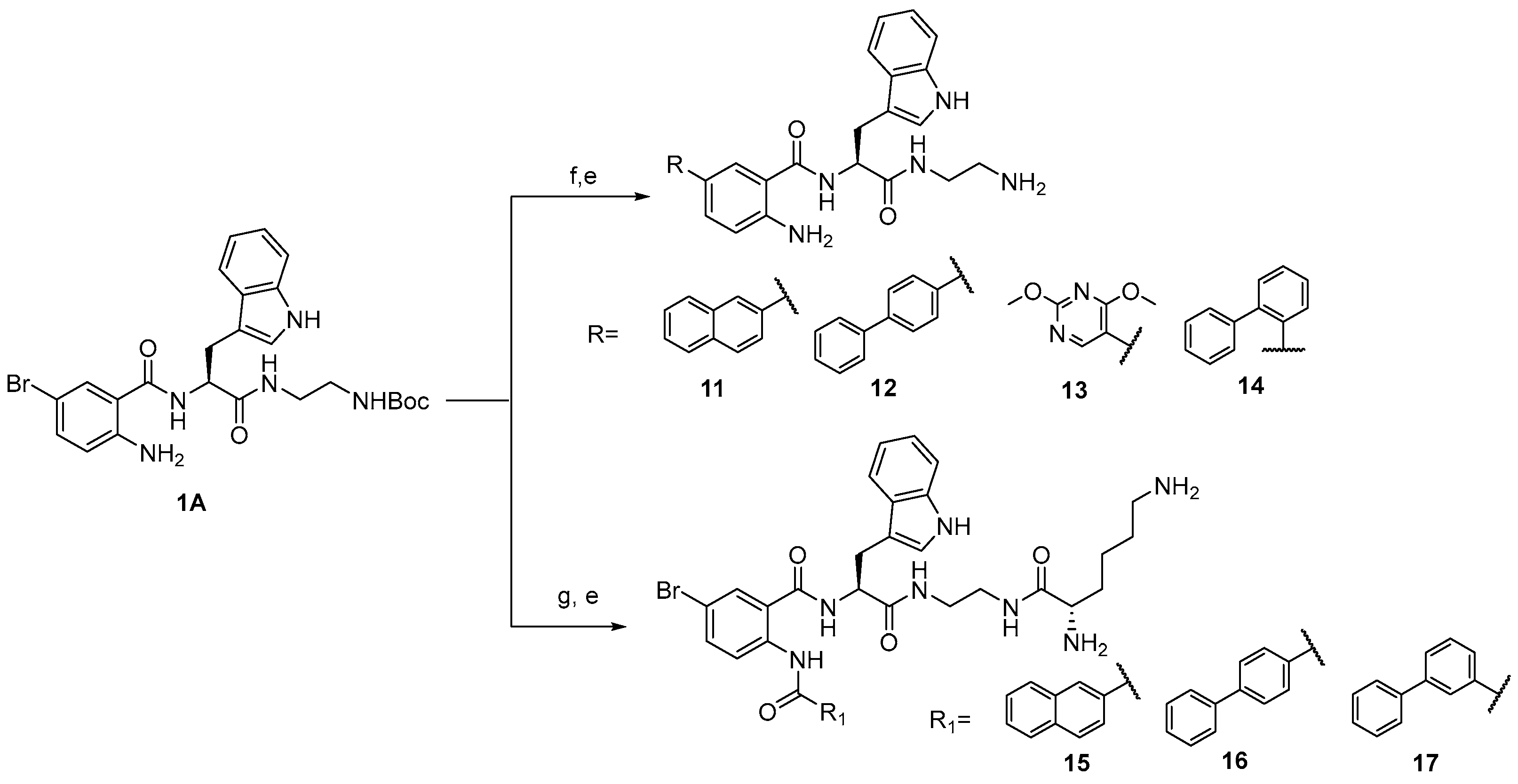 Antibiotics 12 01436 sch002 Antibiotics 12 01436 sch002
