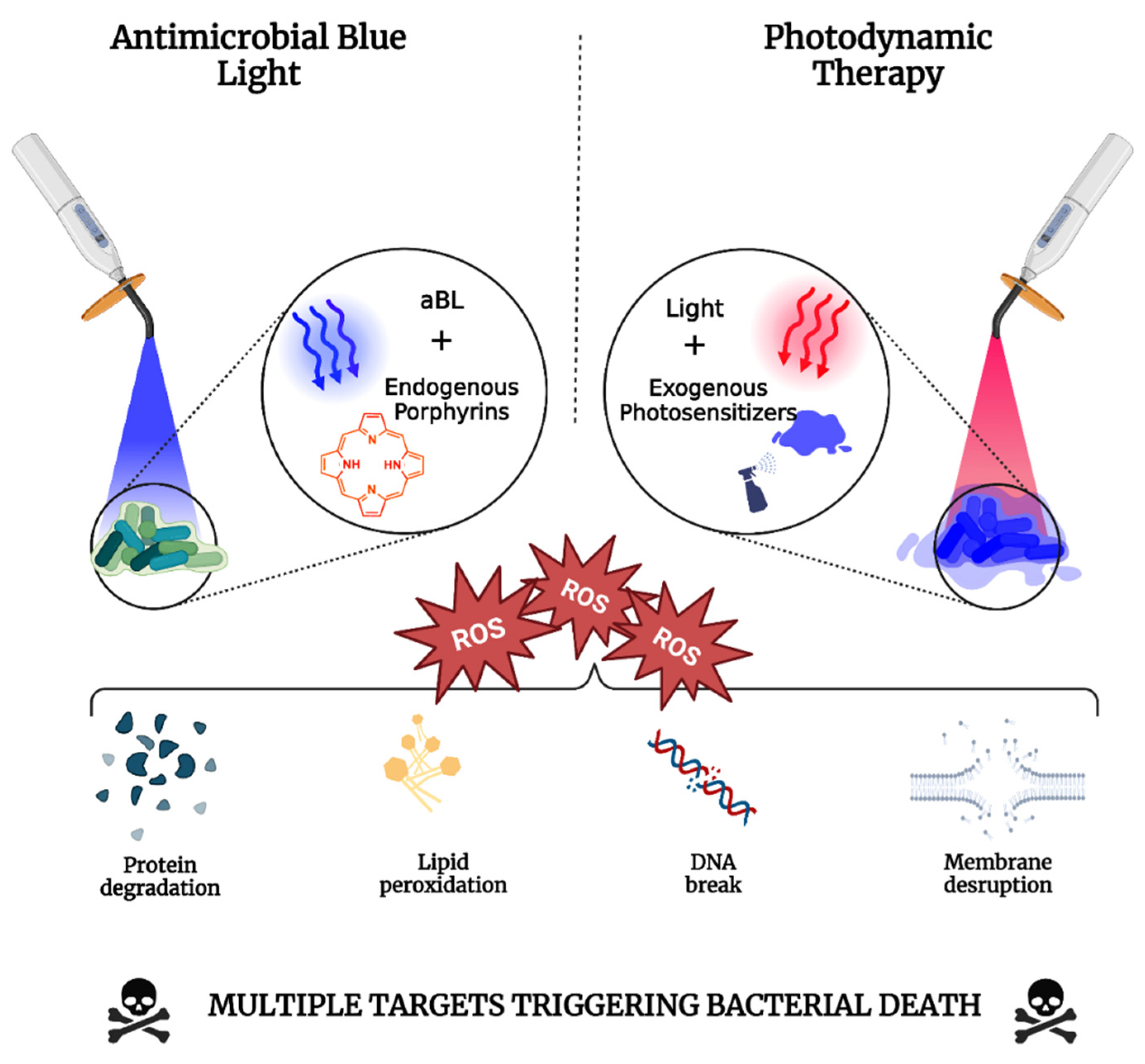 Antibiotics 12 01437 g002