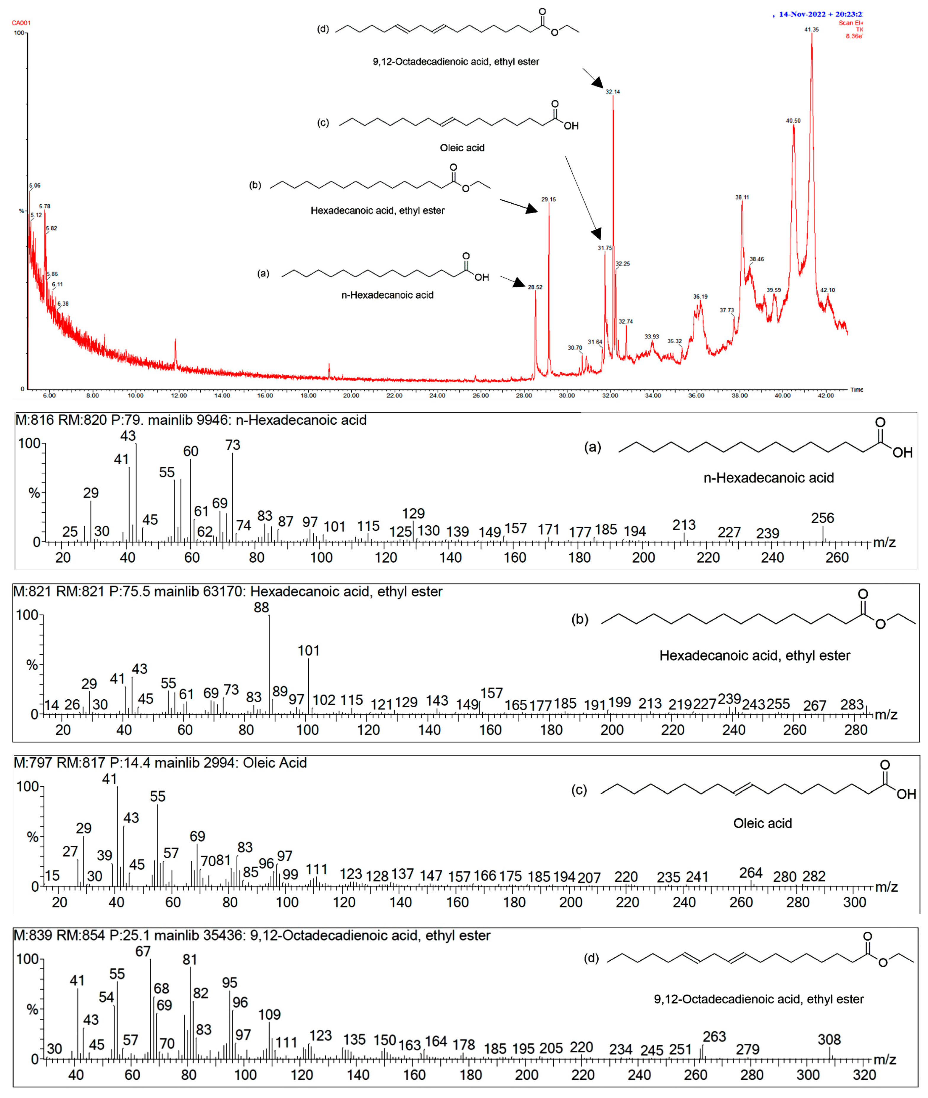 Antibiotics 12 01443 g001