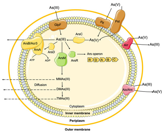 Antibiotics, Free Full-Text