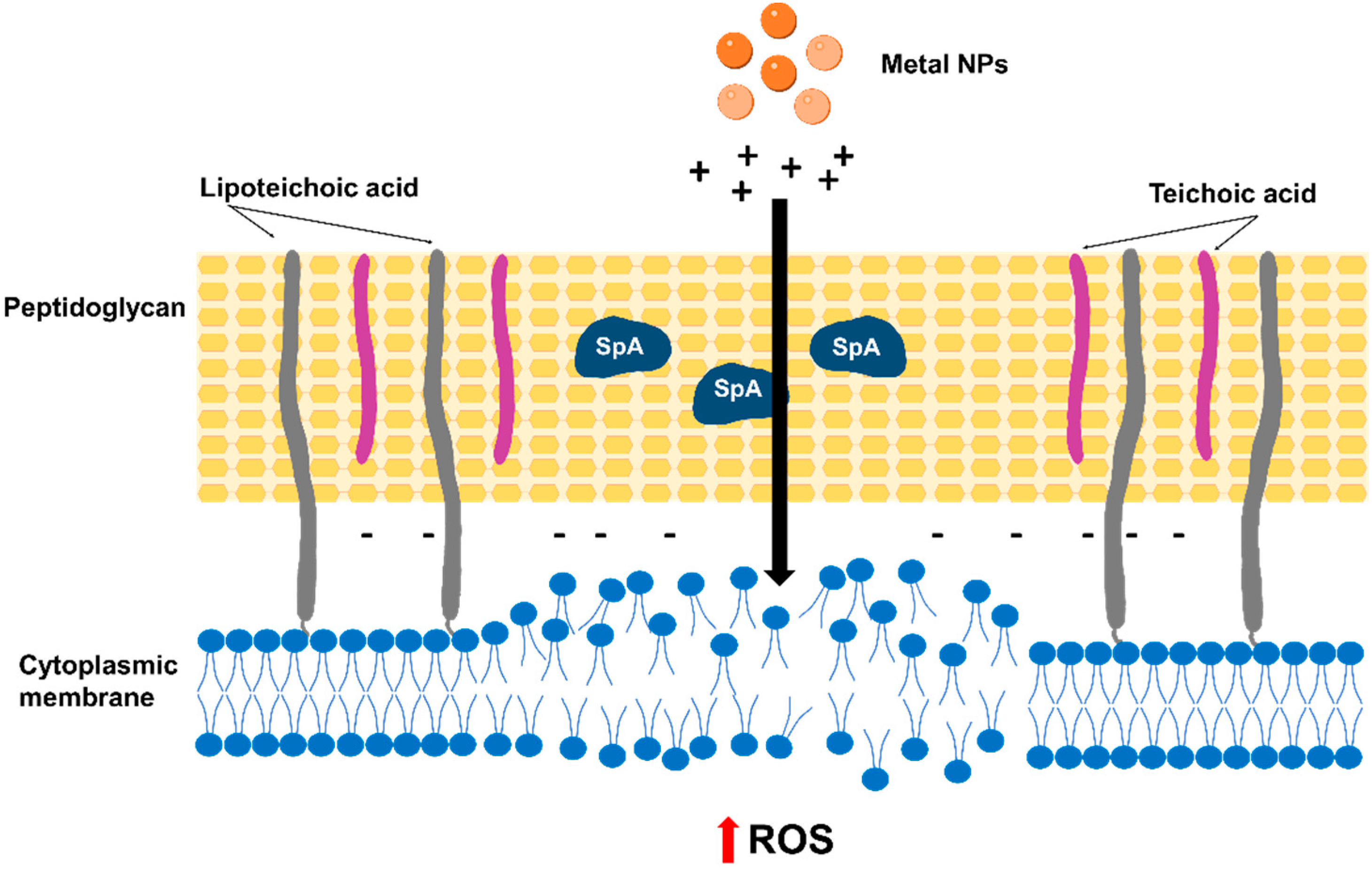 Antibiotics 12 01477 g001 Antibiotics 12 01477 g001