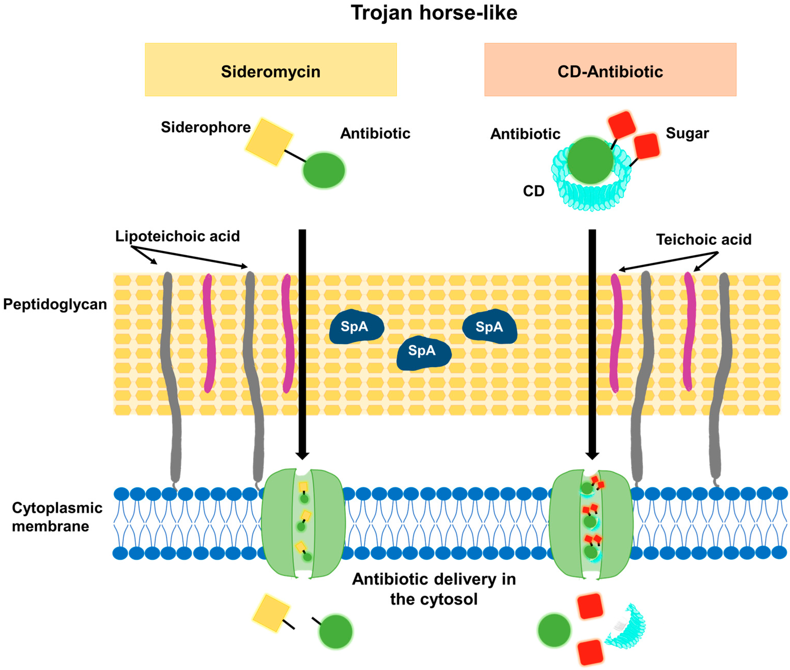 Antibiotics 12 01477 g004 Antibiotics 12 01477 g004