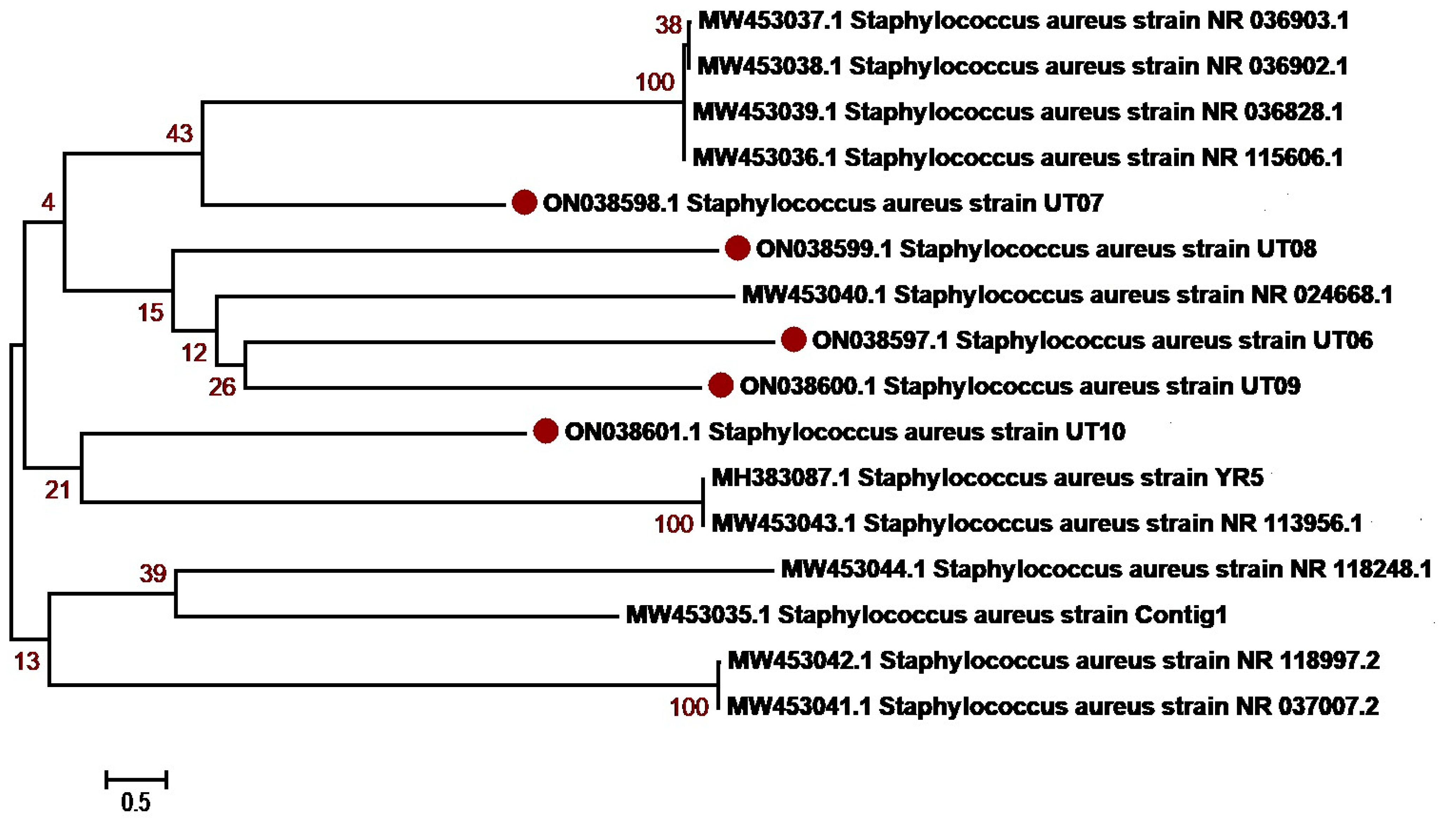 Antibiotics 12 01508 g005