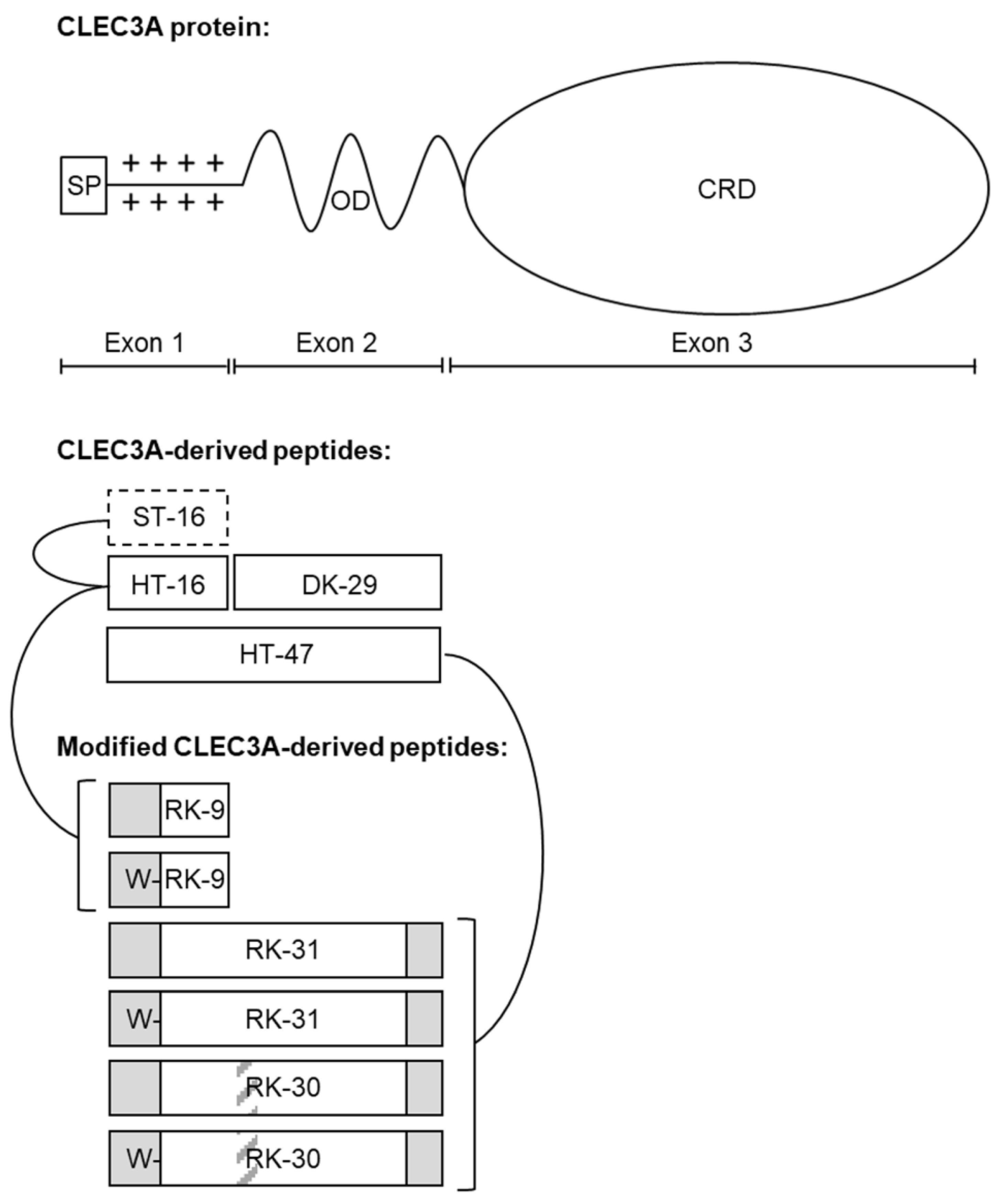 Antibiotics | Free Full-Text | Modified CLEC3A-Derived