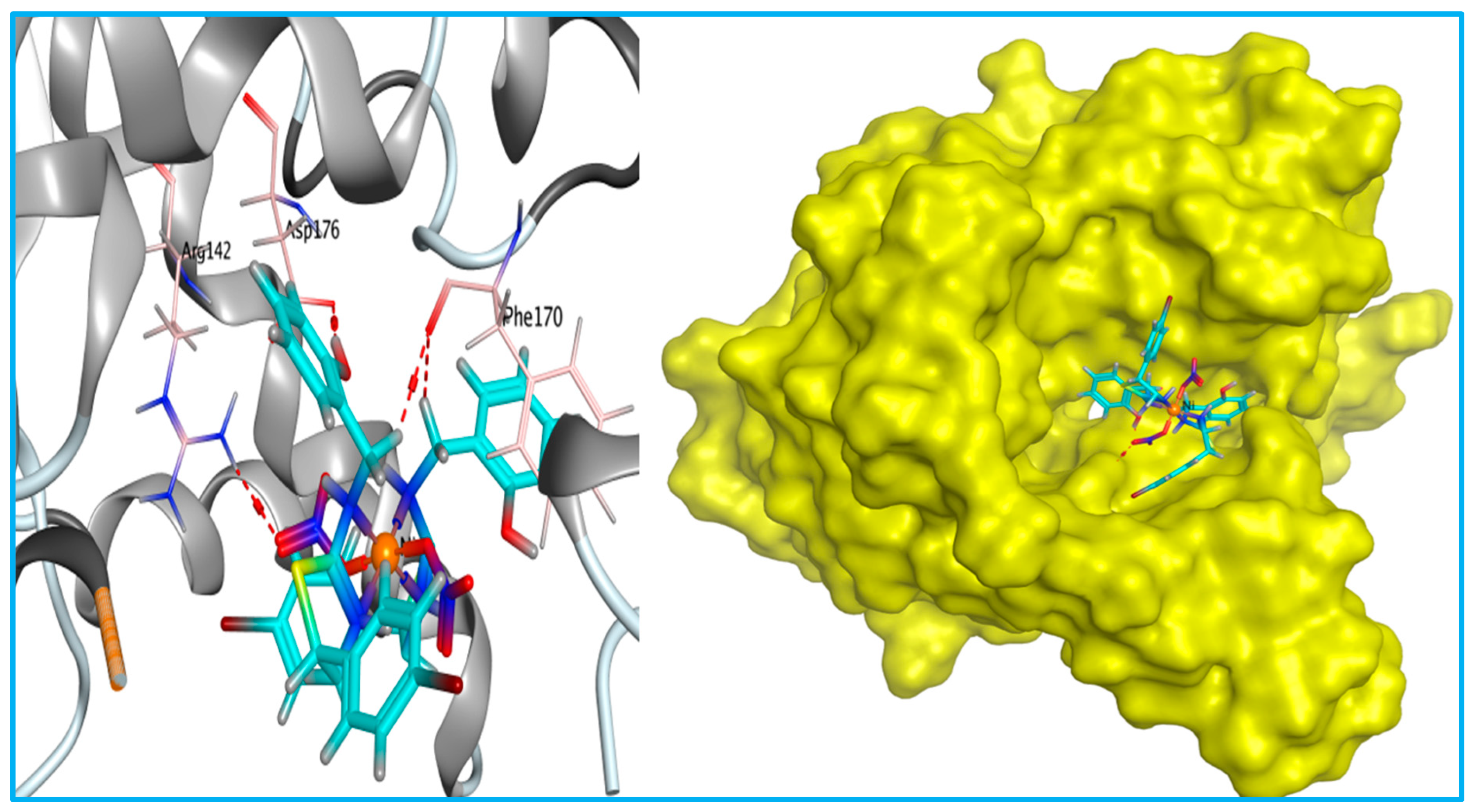 Antibiotics 12 01634 g007