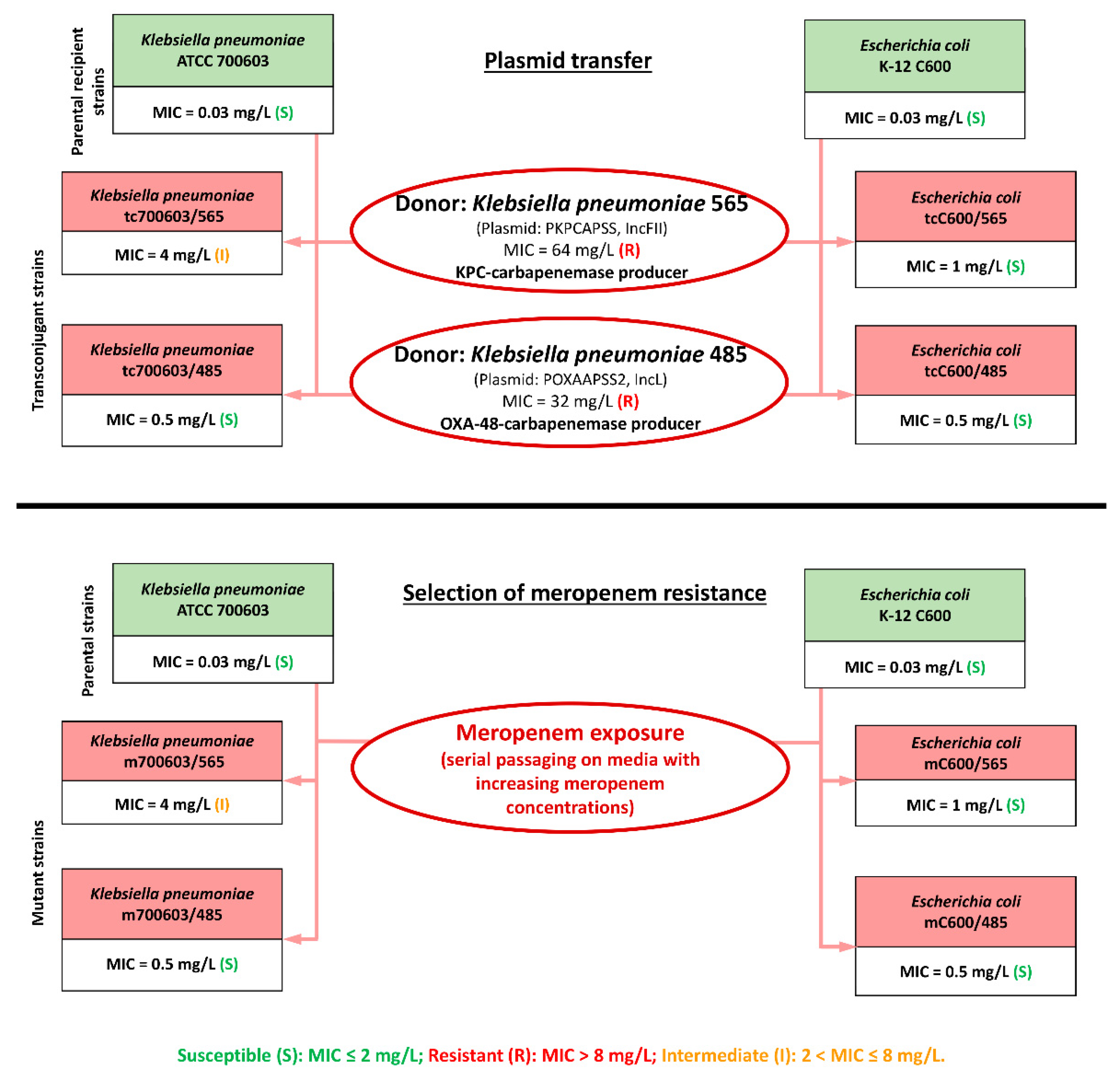 Antibiotics 12 01717 g001