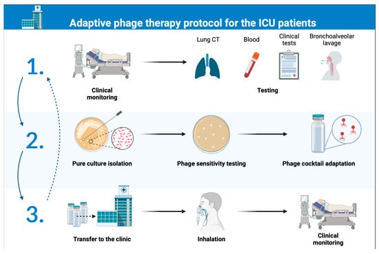 Antibiotics | Free Full-Text | Adaptive Phage Therapy For The ...