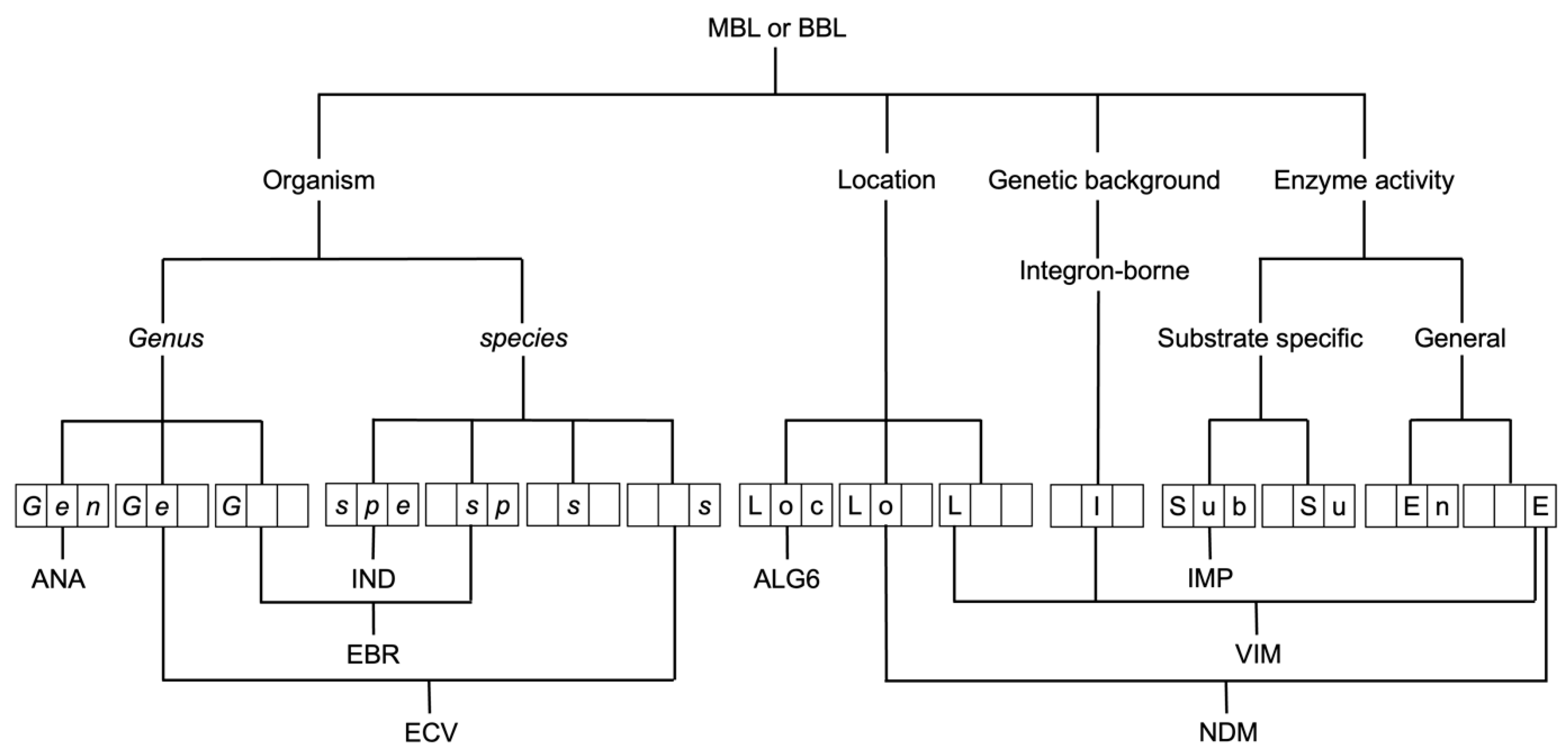 Antibiotics 12 01746 g003
