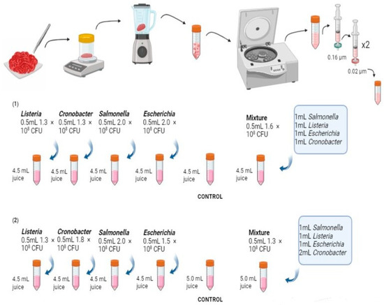 New technology reduces foodborne pathogens in meat