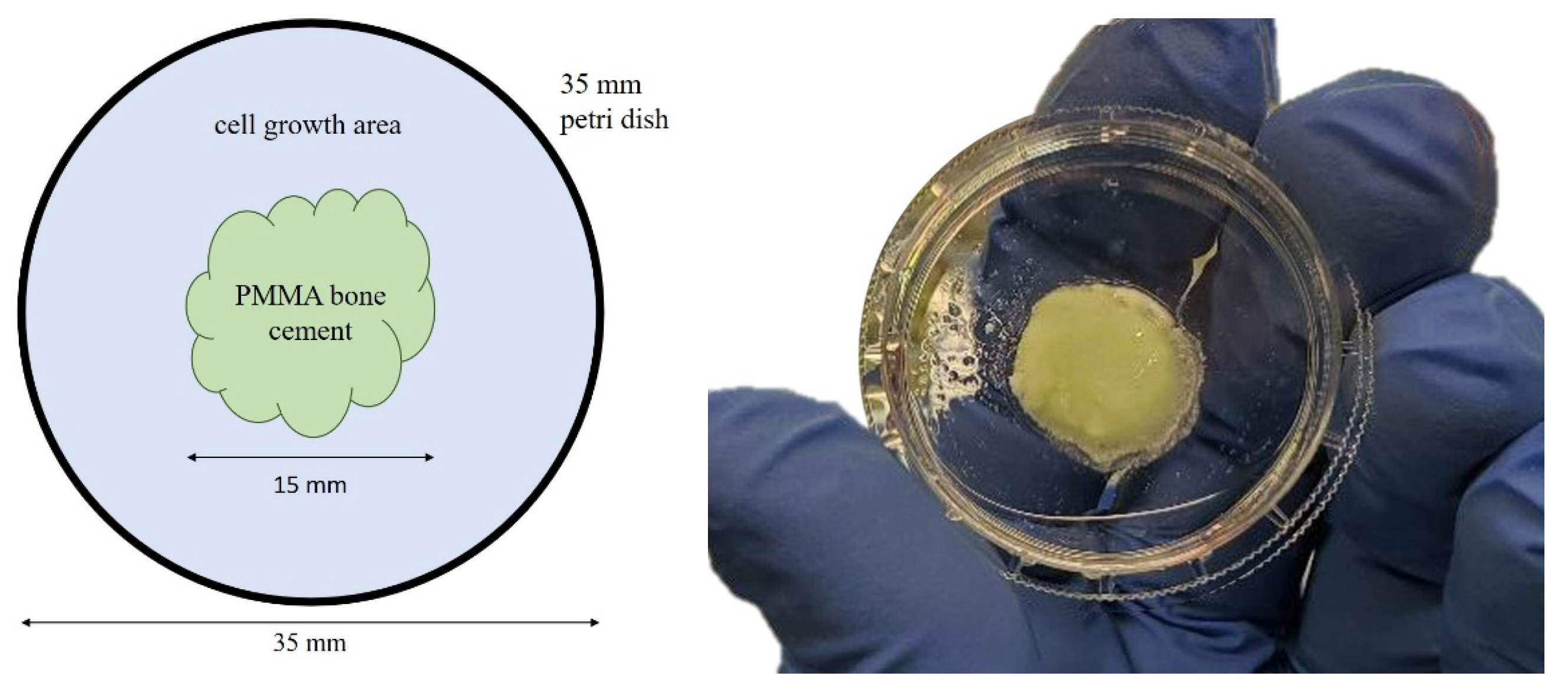 Antibiotics 13 00044 g005