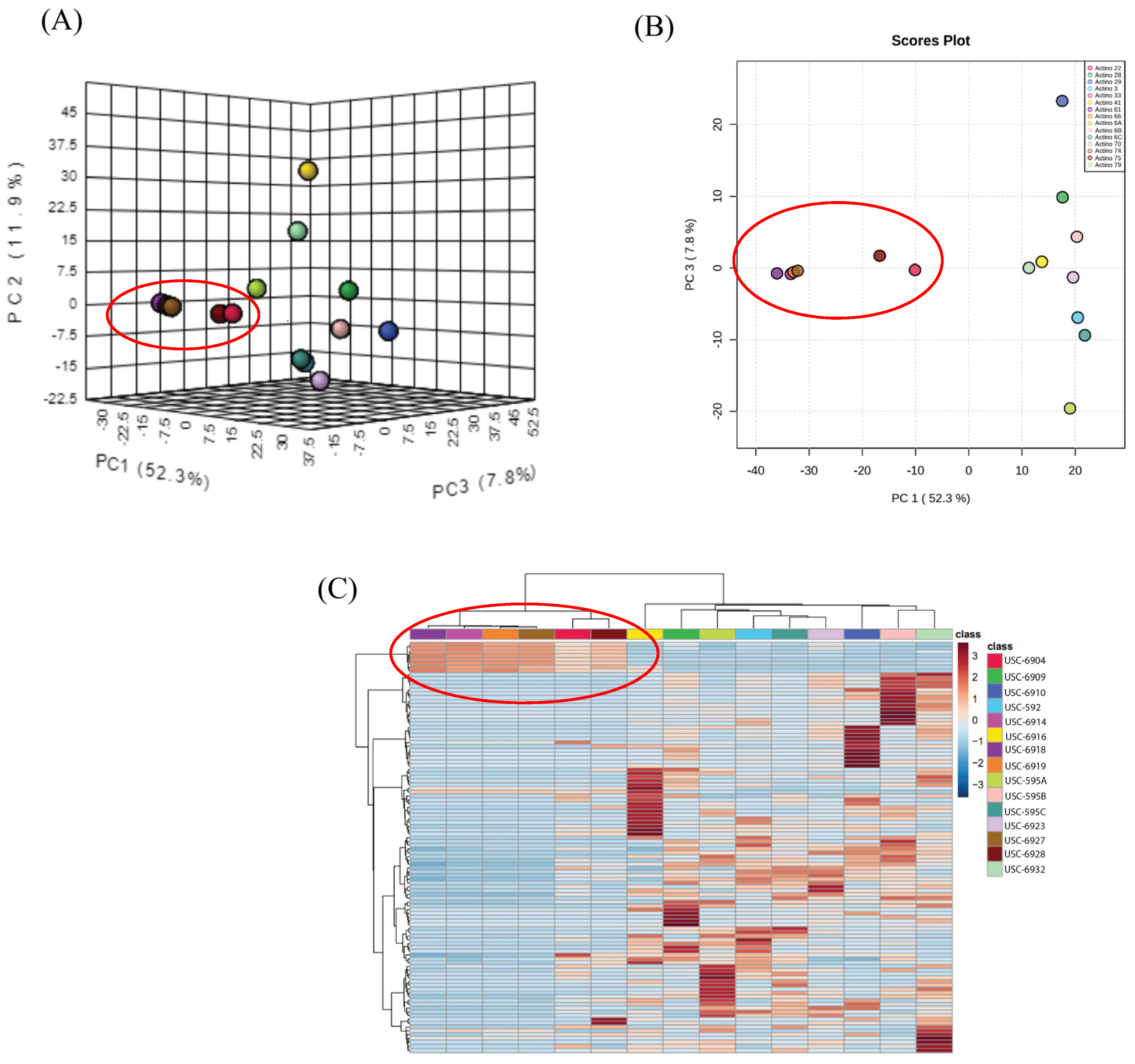 Antibiotics 13 00045 g001