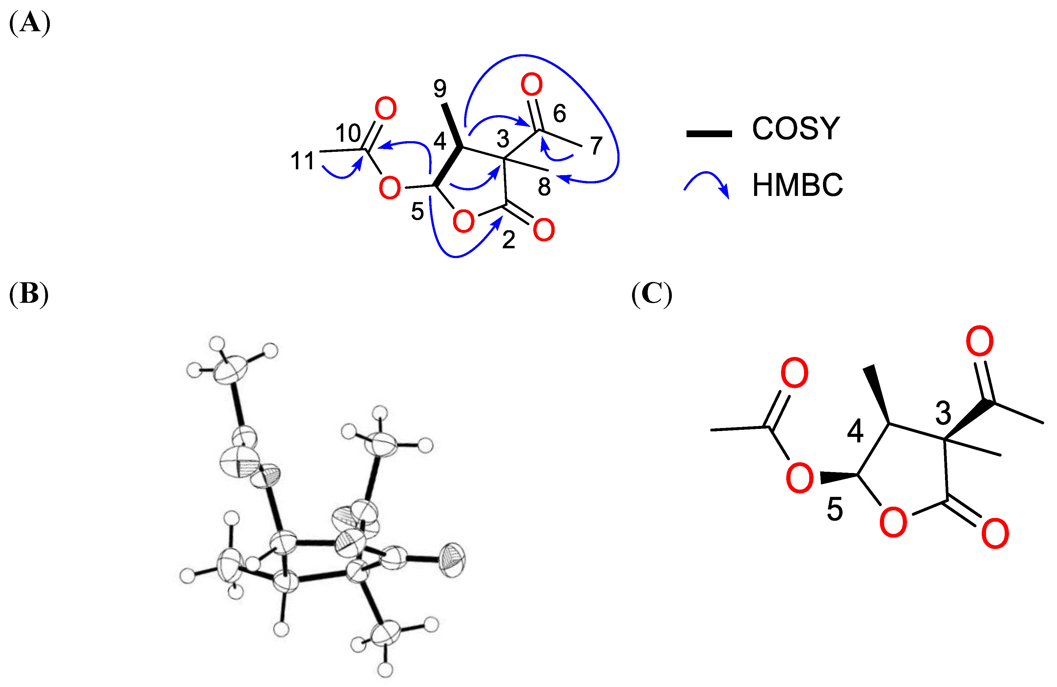 Antibiotics 13 00045 g004