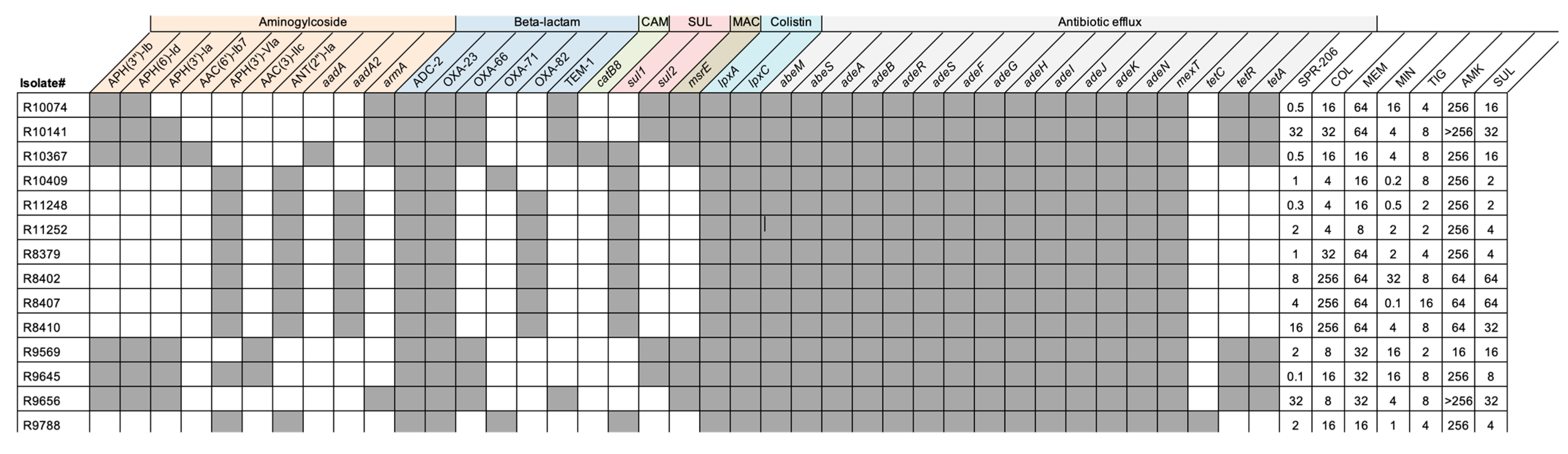 Antibiotics 13 00047 g001