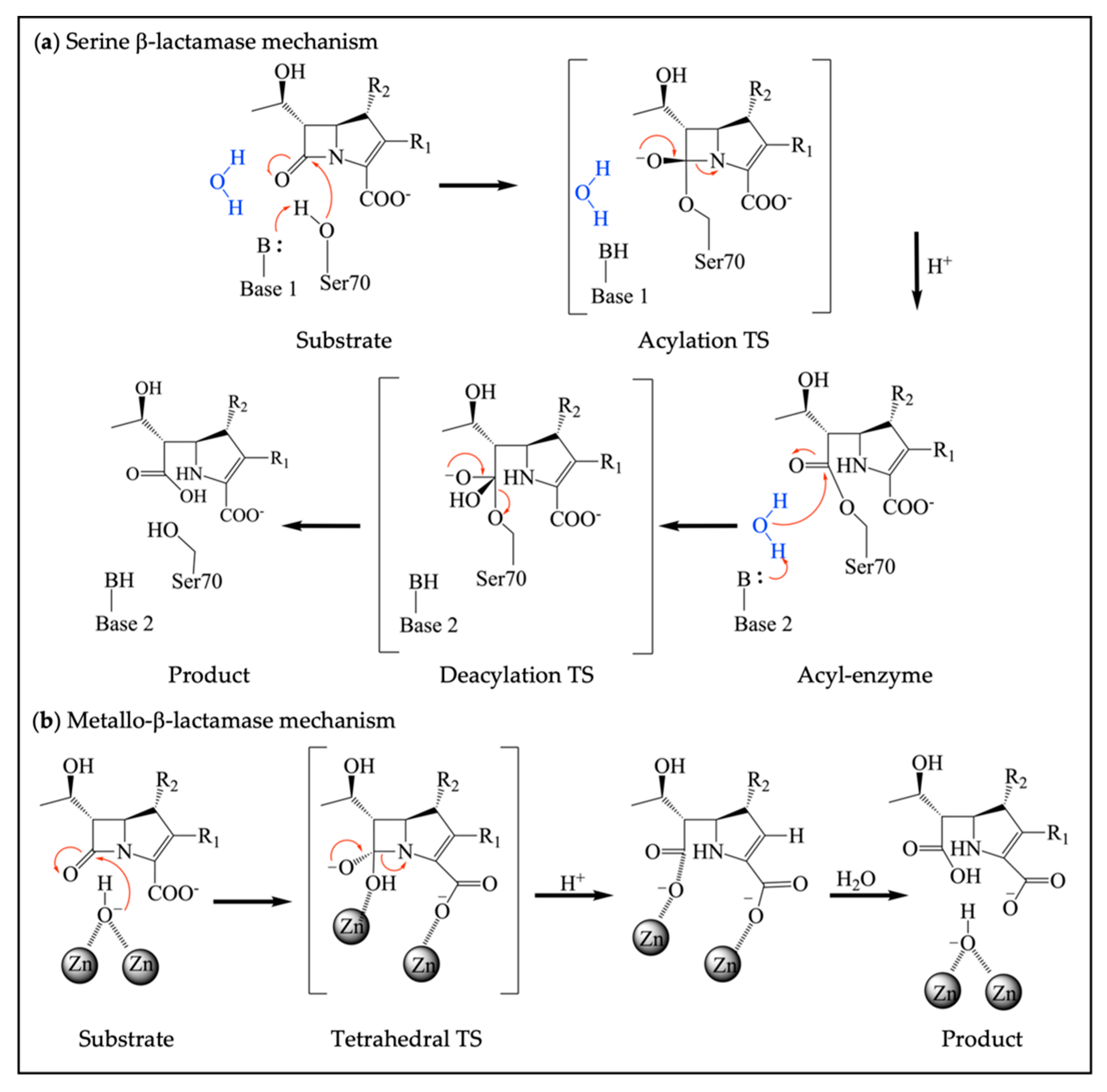 Antibiotics | Free Full-Text | Drug Discovery in the Field of β-Lactams ...