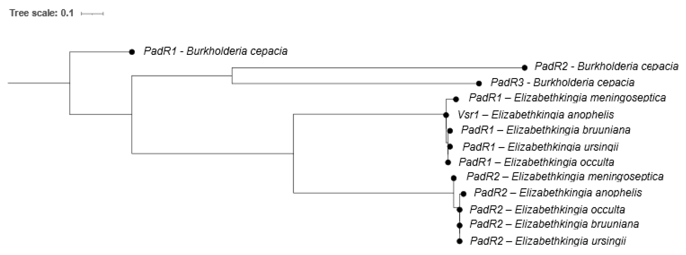 Antibiotics 13 00061 g005 Antibiotics 13 00061 g005