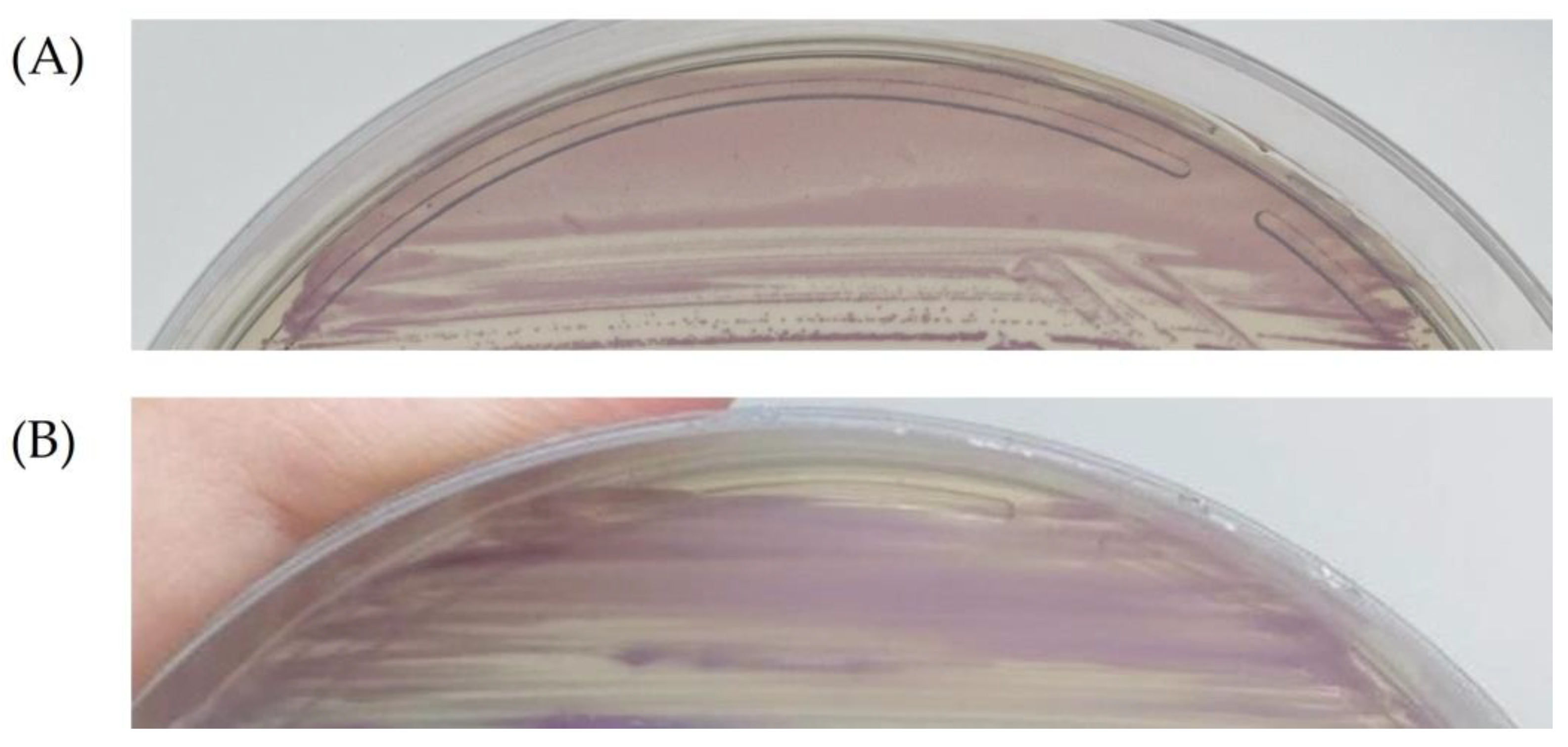 Antibiotics 13 00085 g001 Antibiotics 13 00085 g001