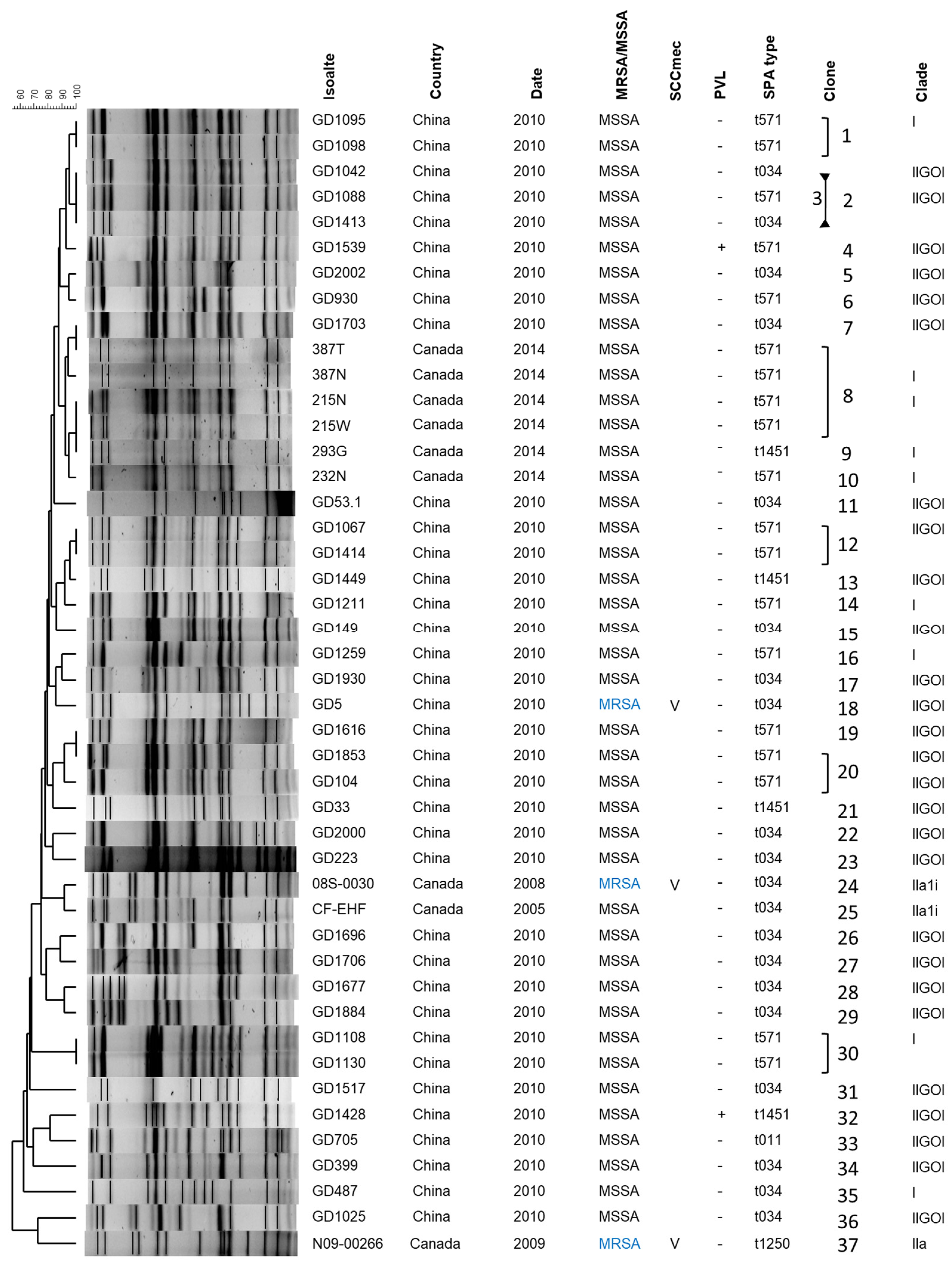 Antibiotics 13 00112 g001