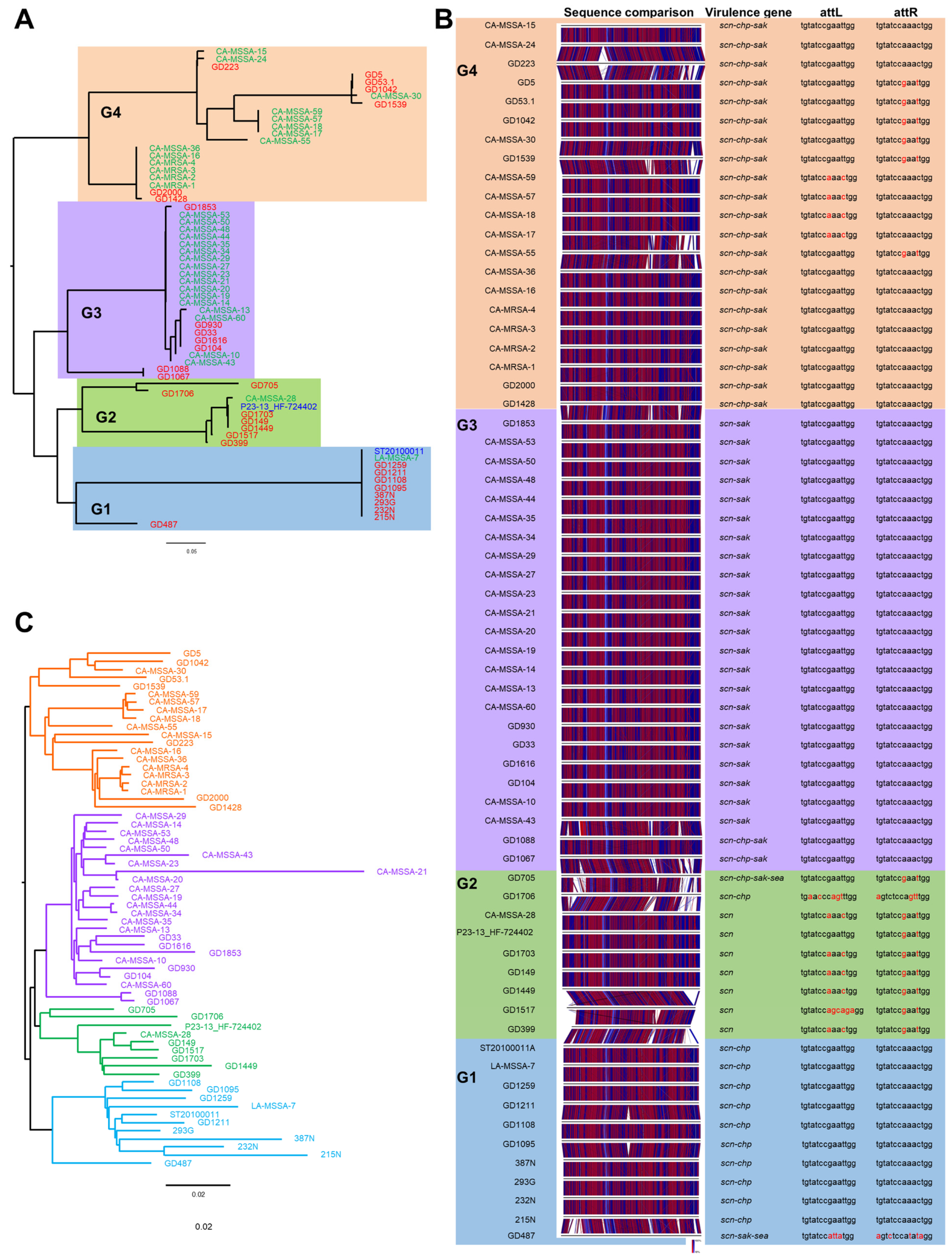 Antibiotics 13 00112 g003