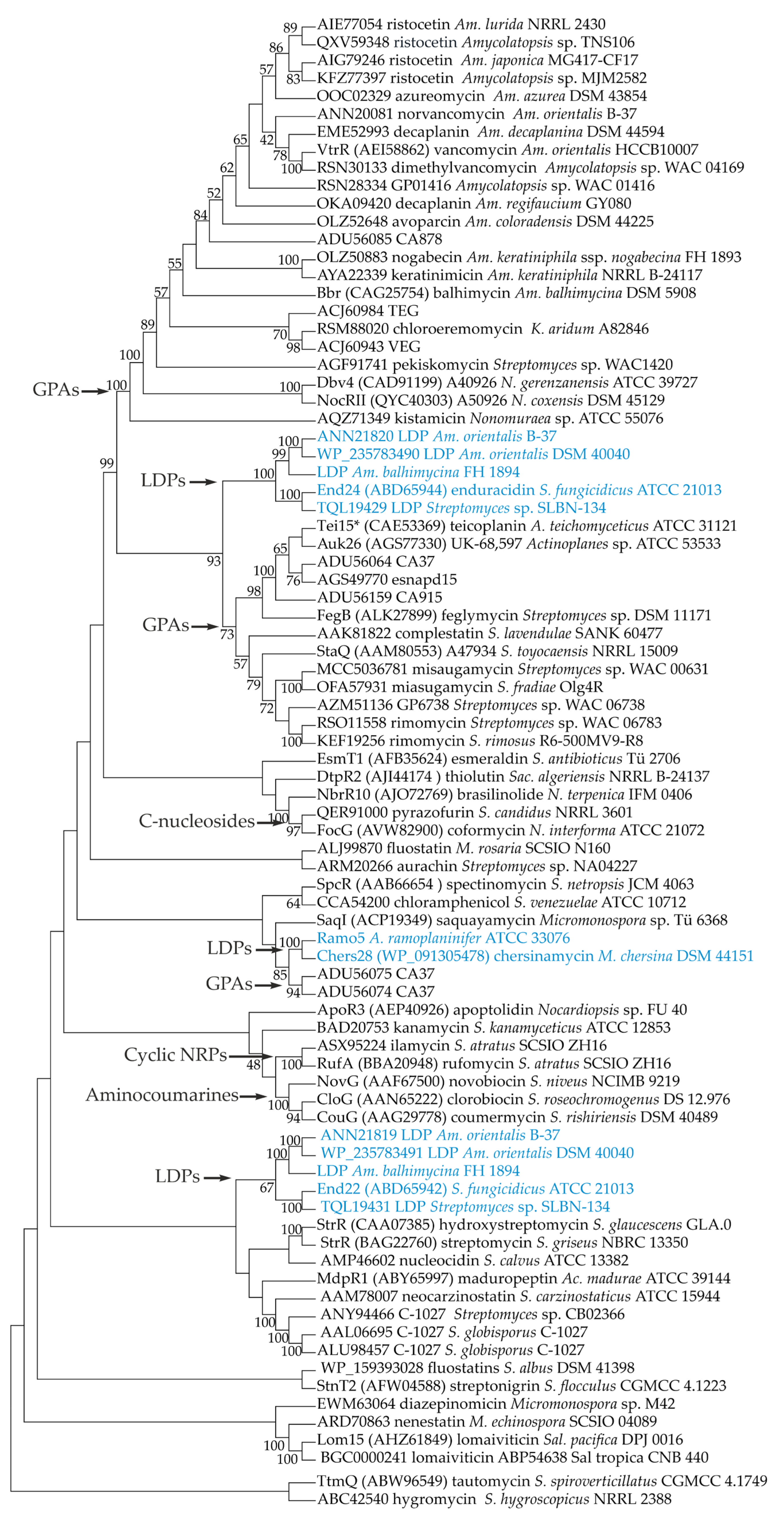 Antibiotics 13 00115 g001