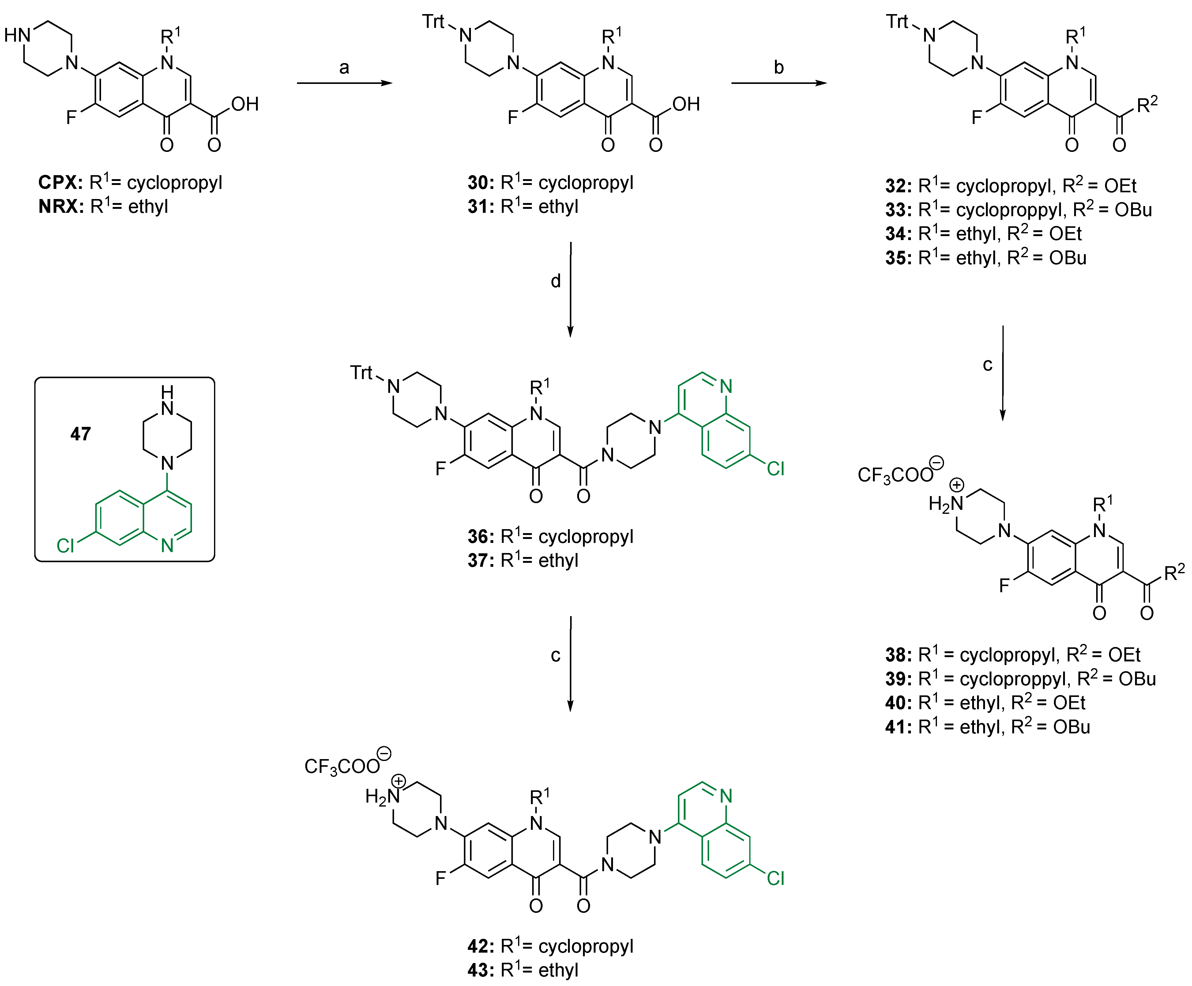 Antibiotics 13 00142 sch001 Antibiotics 13 00142 sch001