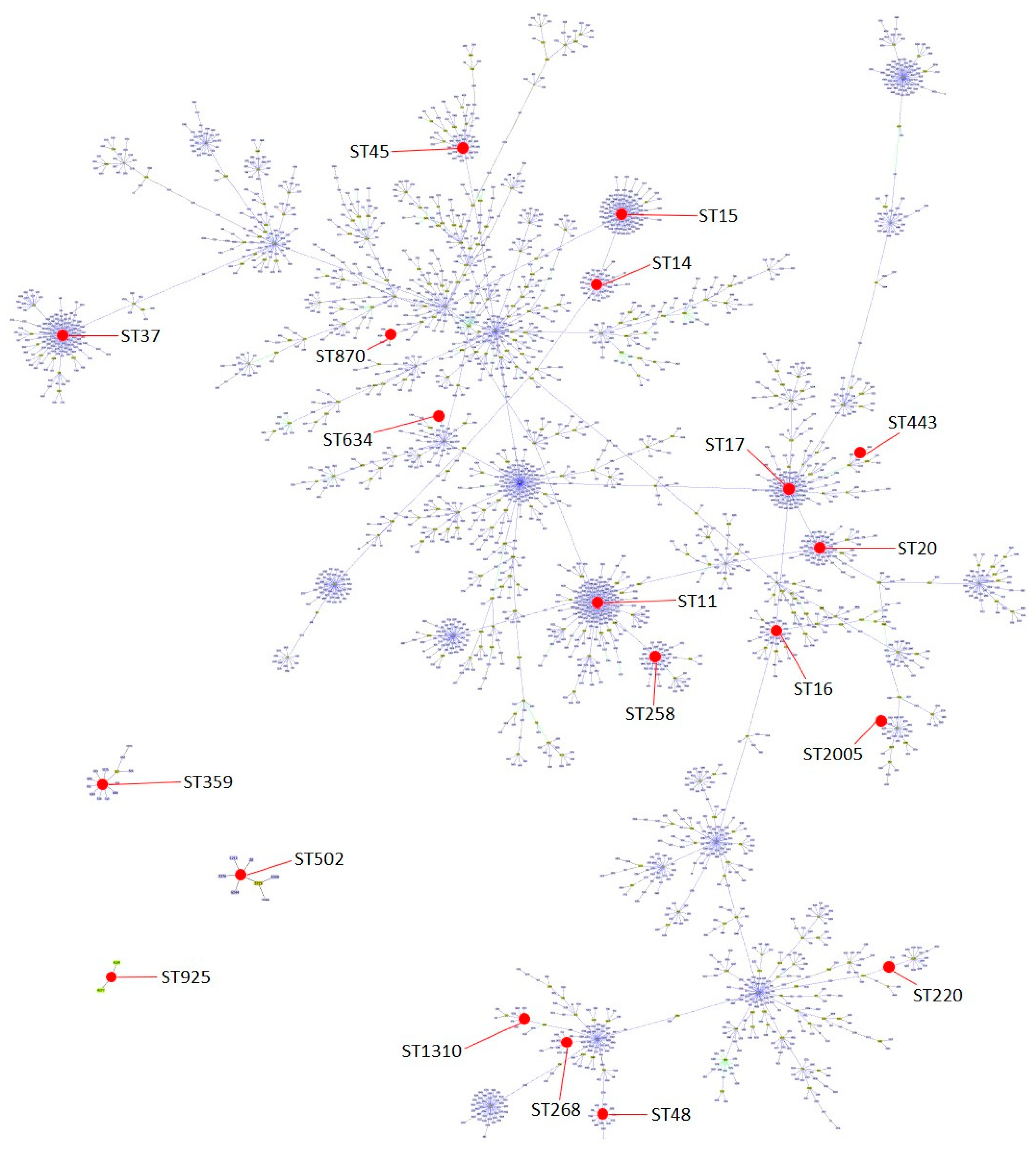 Antibiotics 13 00170 g002