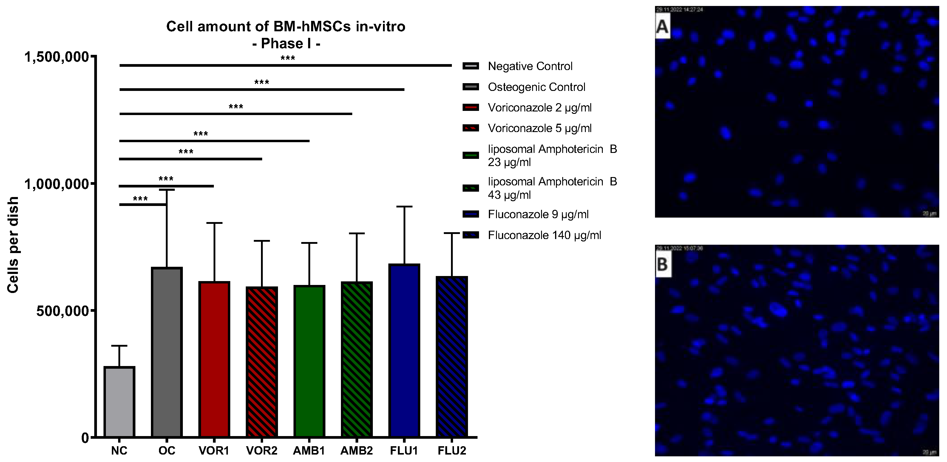 Antibiotics | Free Full-Text | Impact of Anti-Mycotic Drugs on the  Osteogenic Response of Bone Marrow Mesenchymal Stem Cells In Vitro