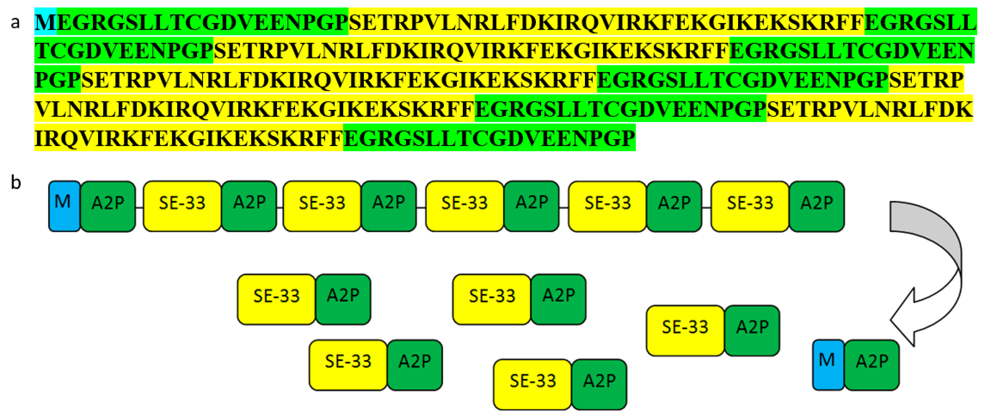 Antibiotics 13 00190 g002 Antibiotics 13 00190 g002