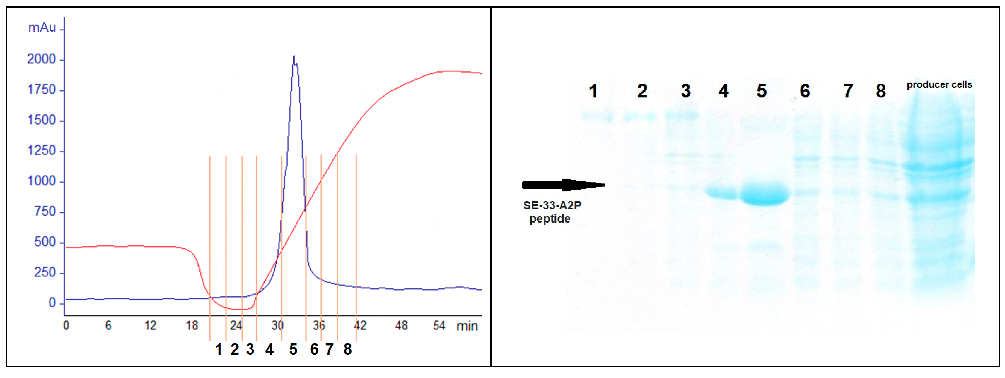 Antibiotics 13 00190 g010 Antibiotics 13 00190 g010