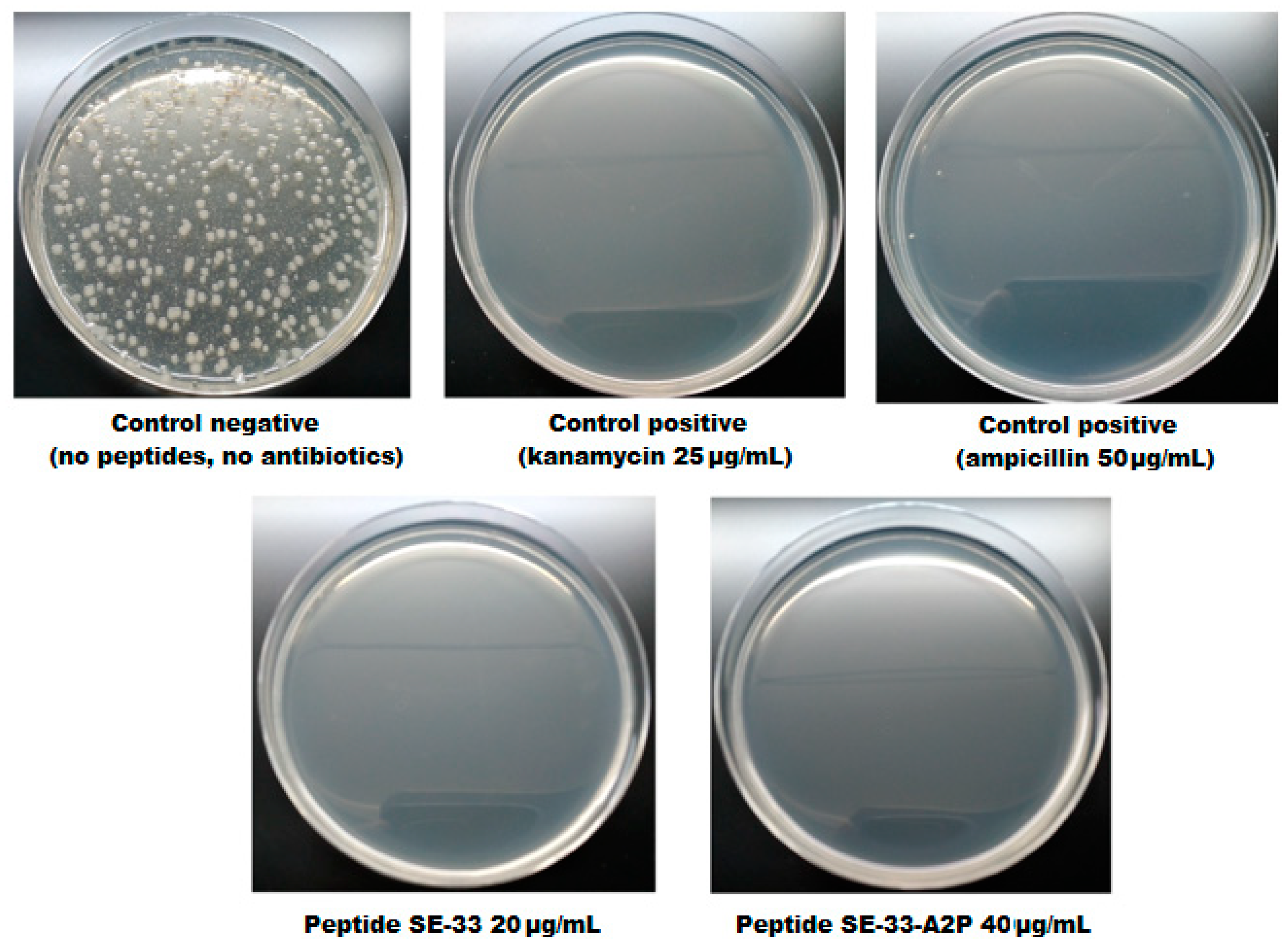 Antibiotics 13 00190 g013 Antibiotics 13 00190 g013