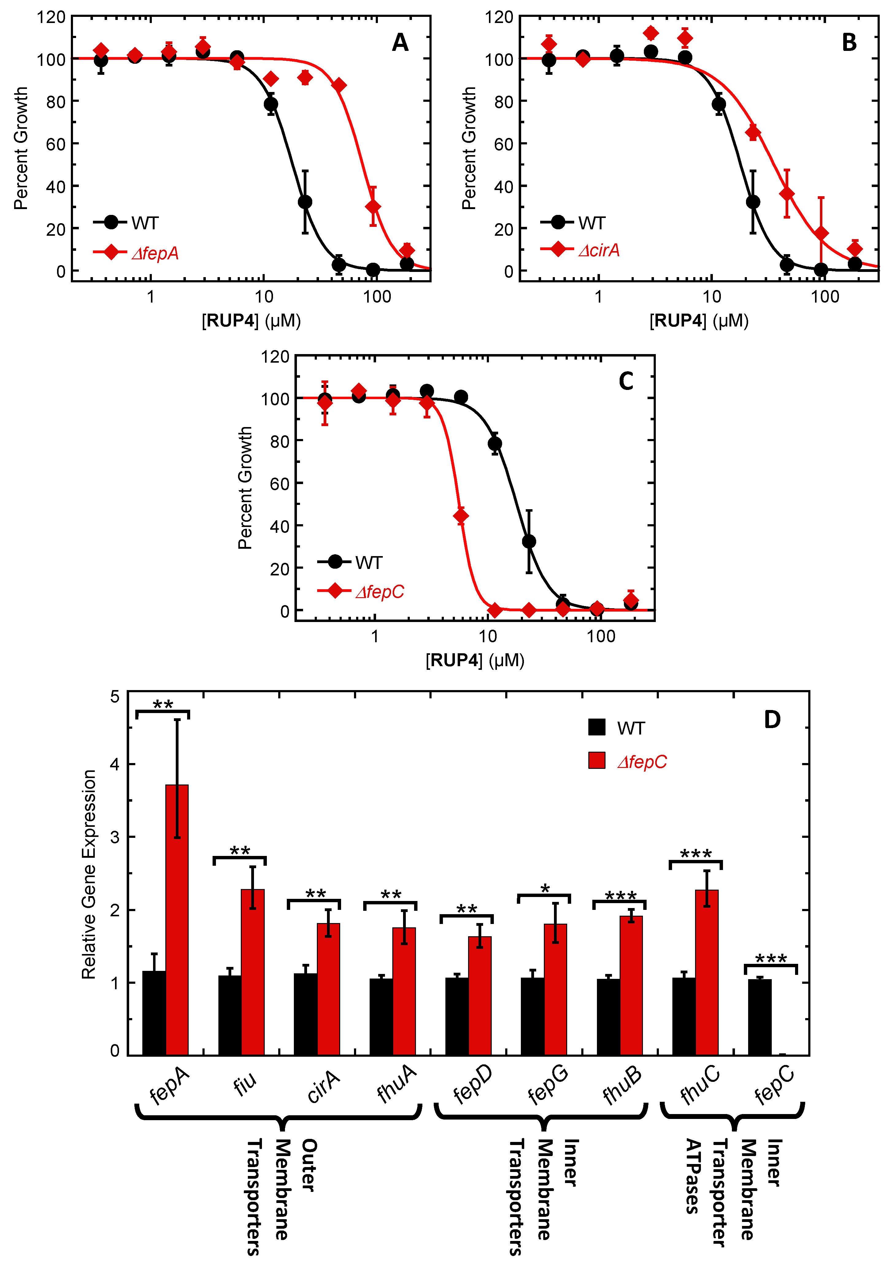 Antibiotics 13 00209 g006