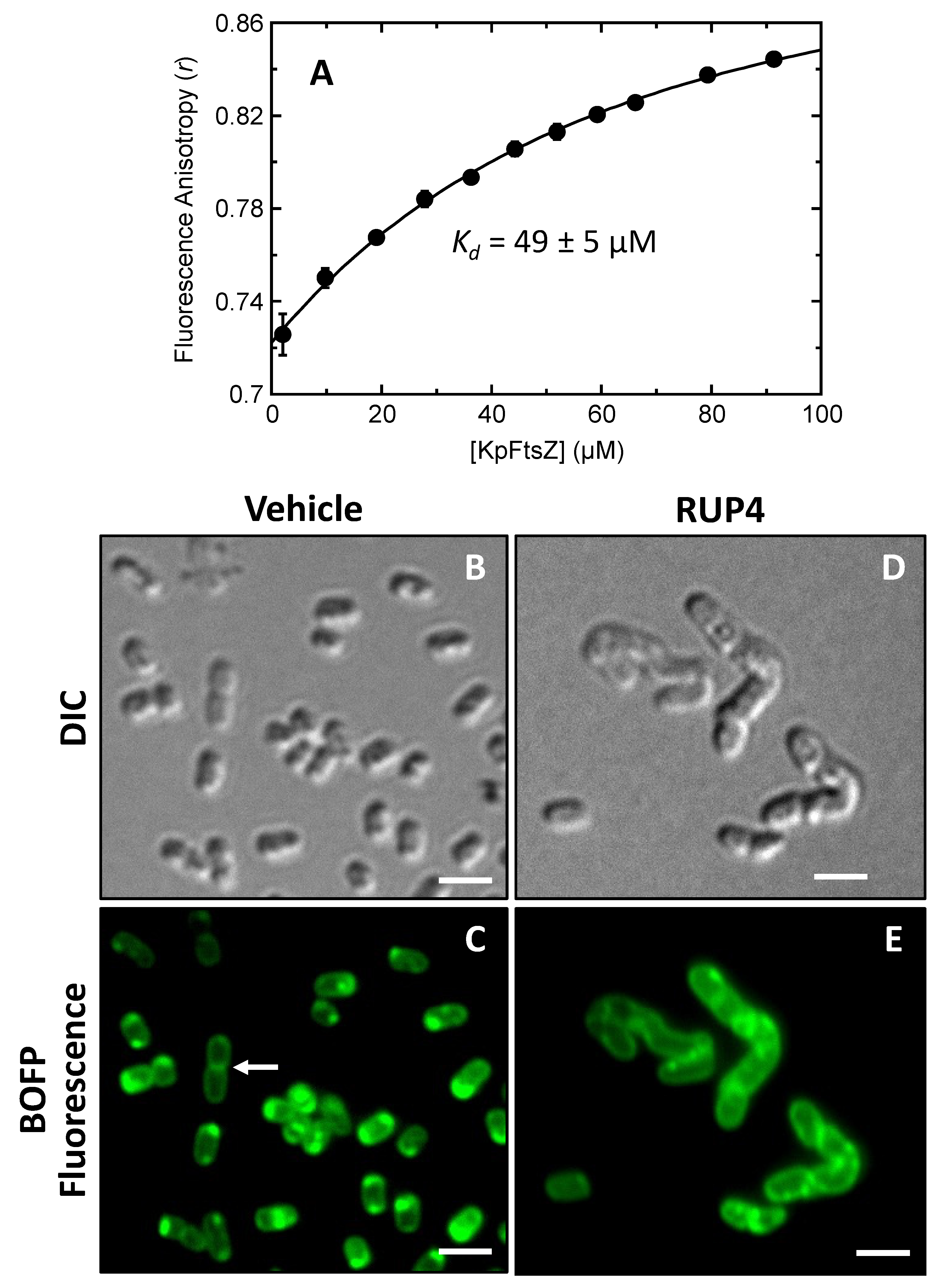 Antibiotics 13 00209 g007
