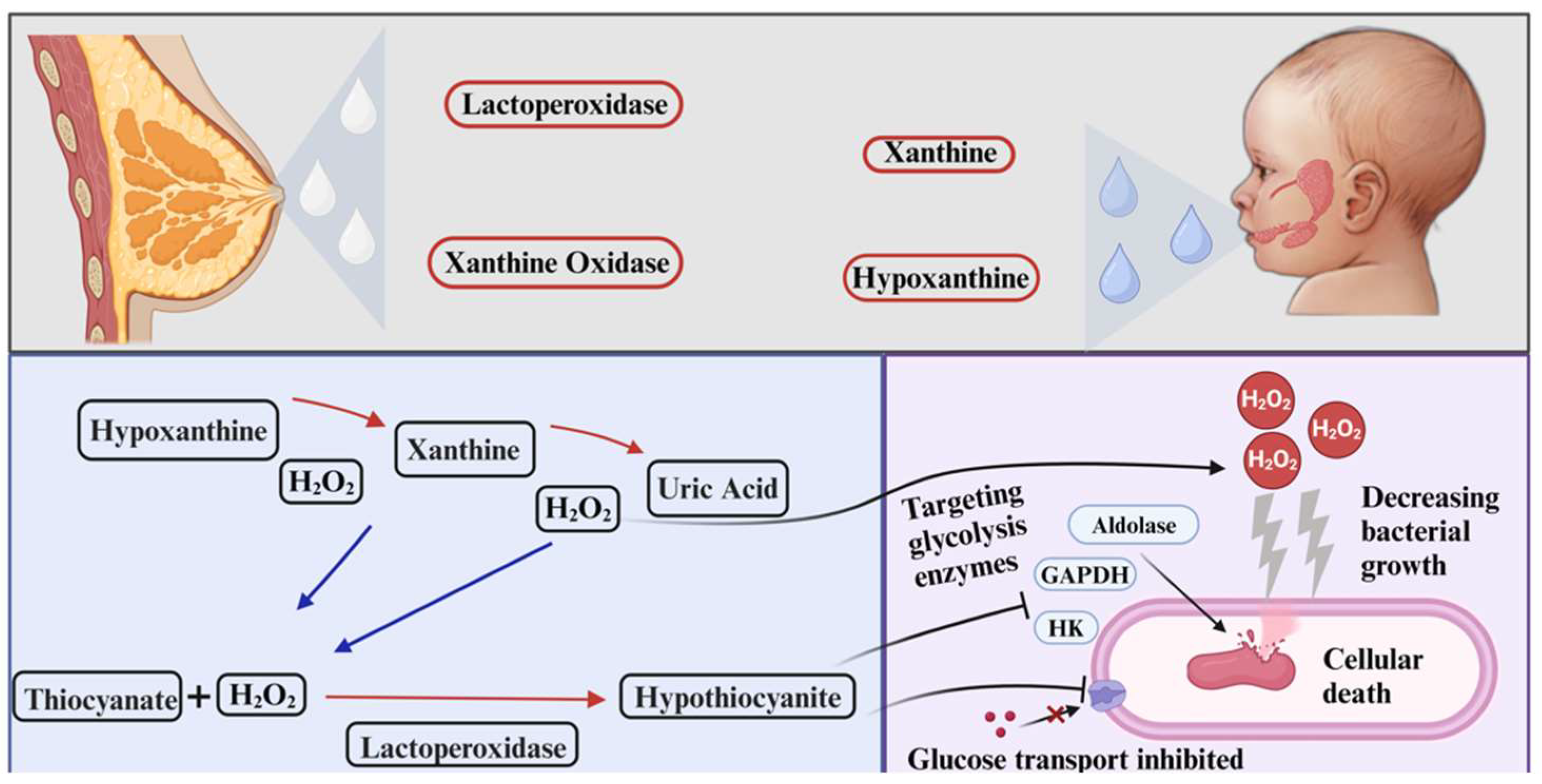 Antibiotics 13 00251 g003 Antibiotics 13 00251 g003