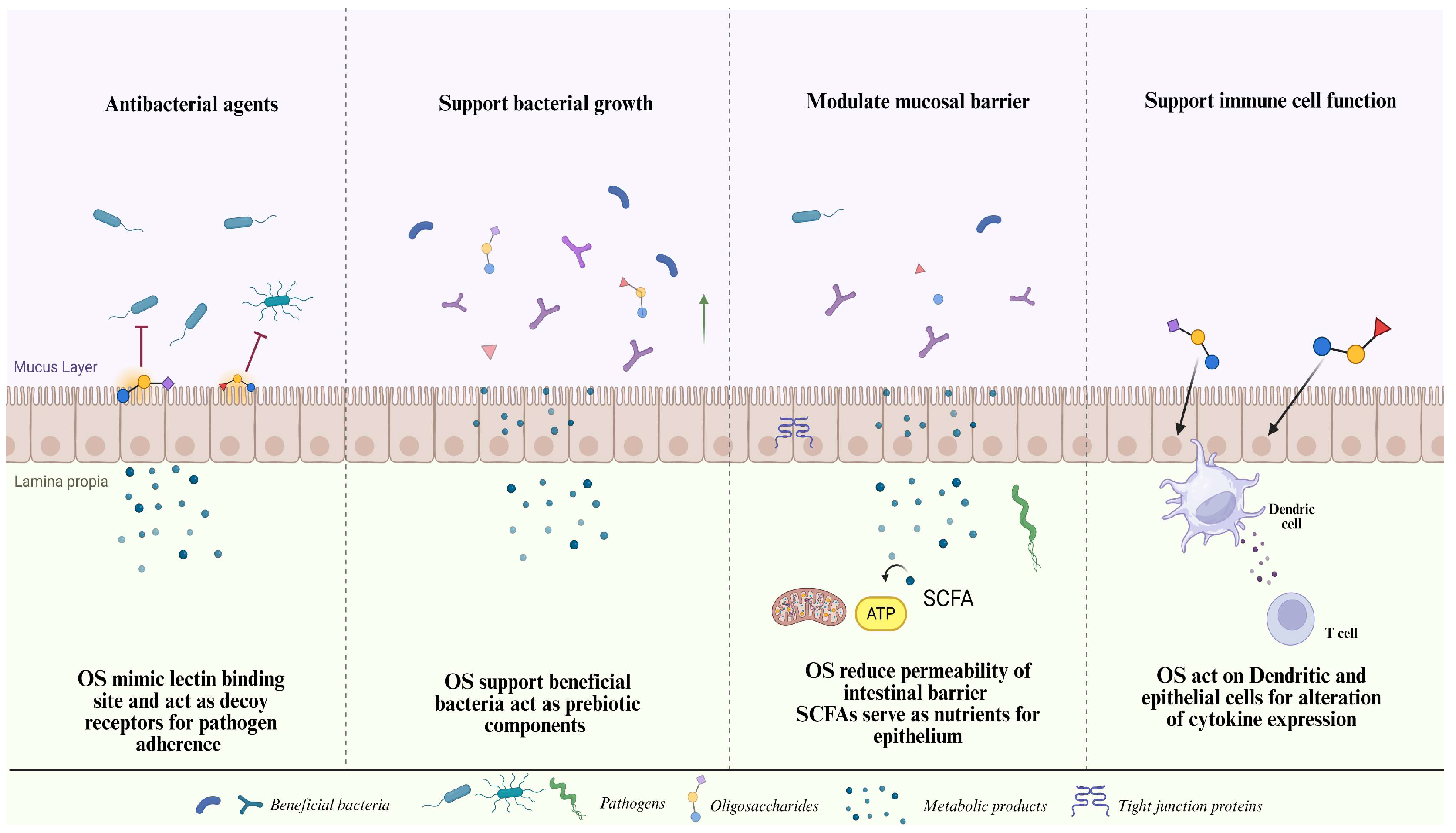 Antibiotics 13 00251 g005 Antibiotics 13 00251 g005