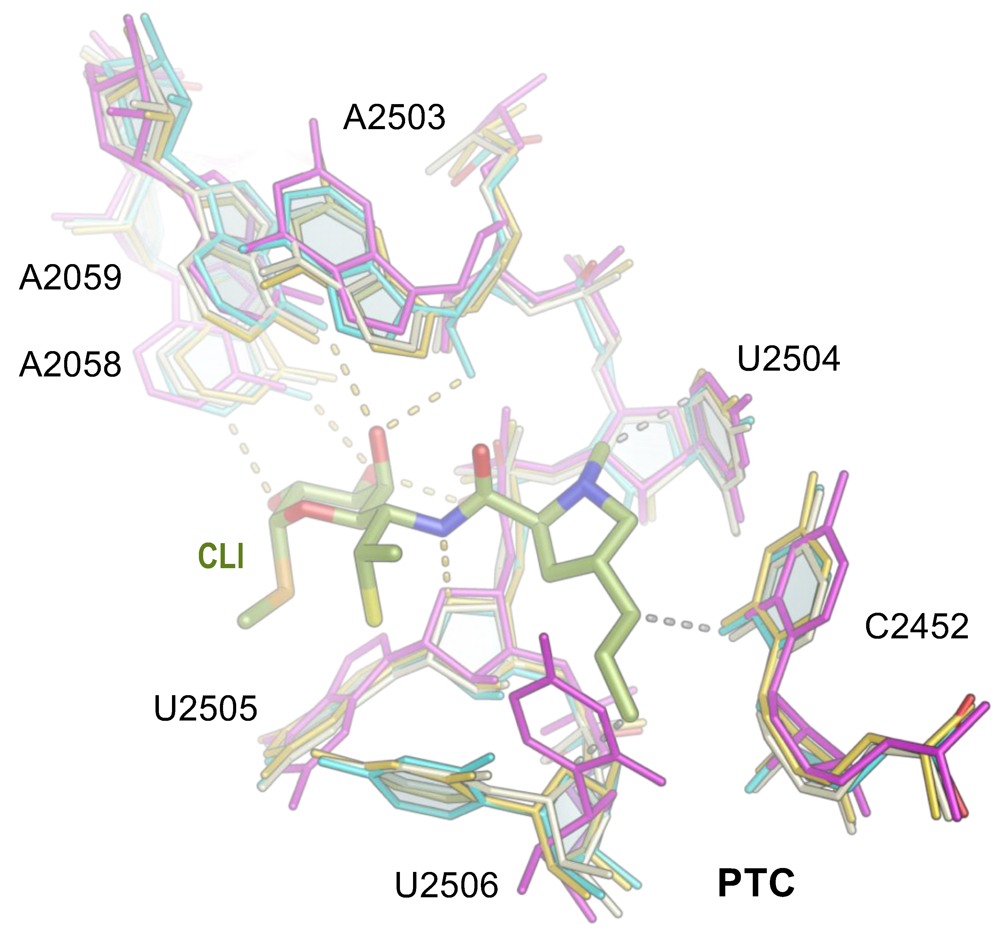 Antibiotics 13 00270 g003