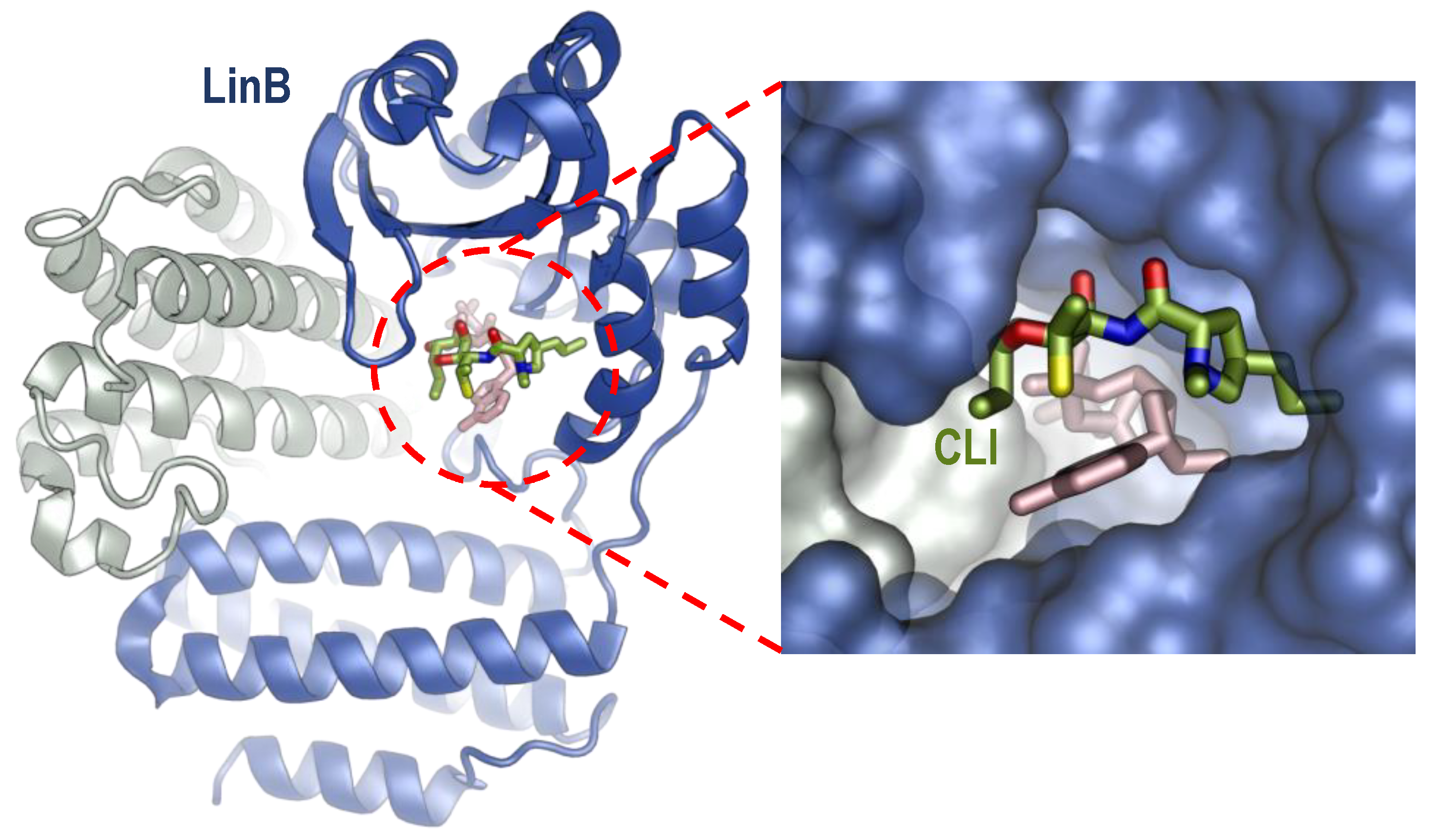 Antibiotics 13 00270 g004
